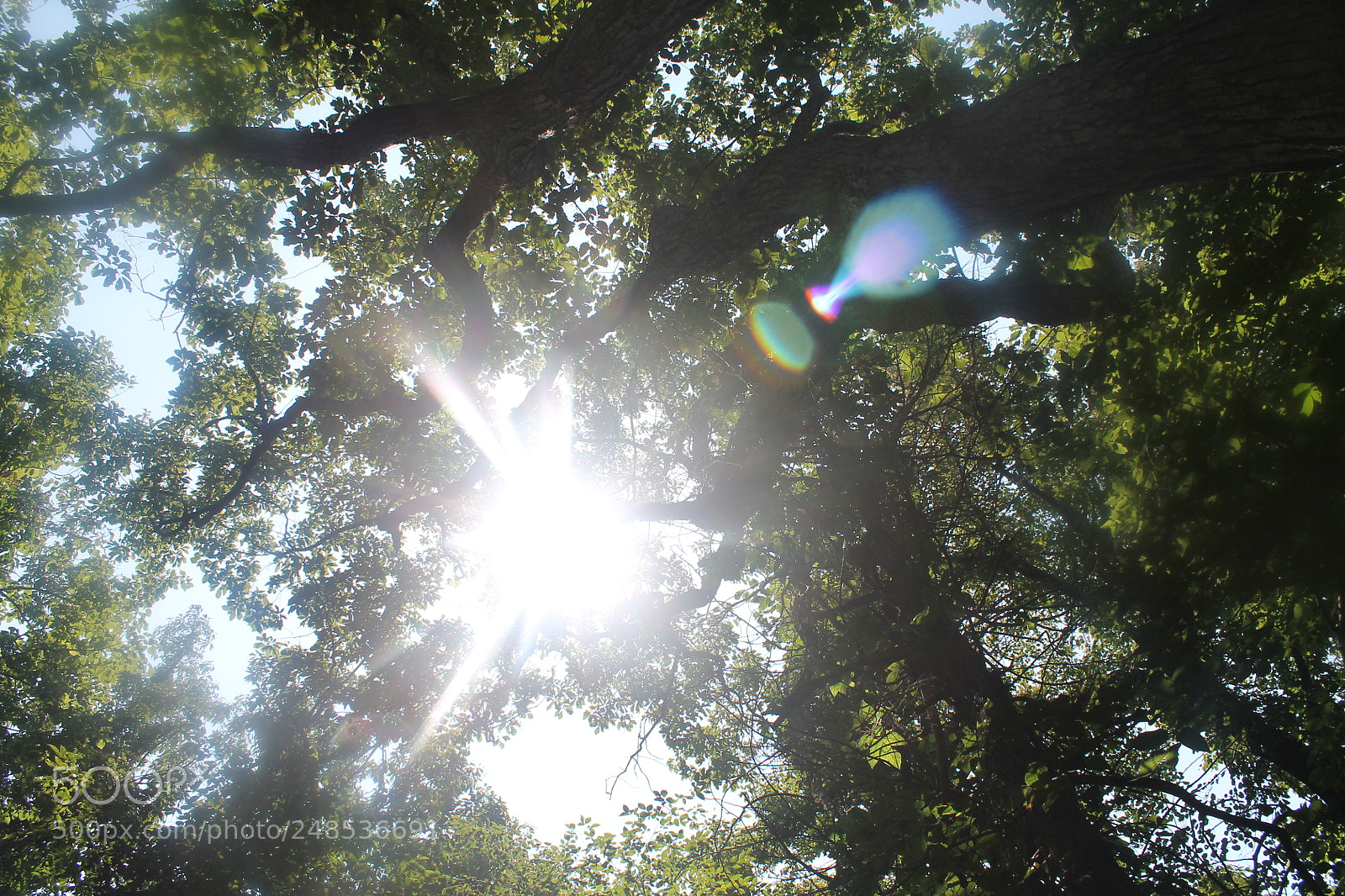 Canon EOS 1100D (EOS Rebel T3 / EOS Kiss X50) sample photo. Peek photography