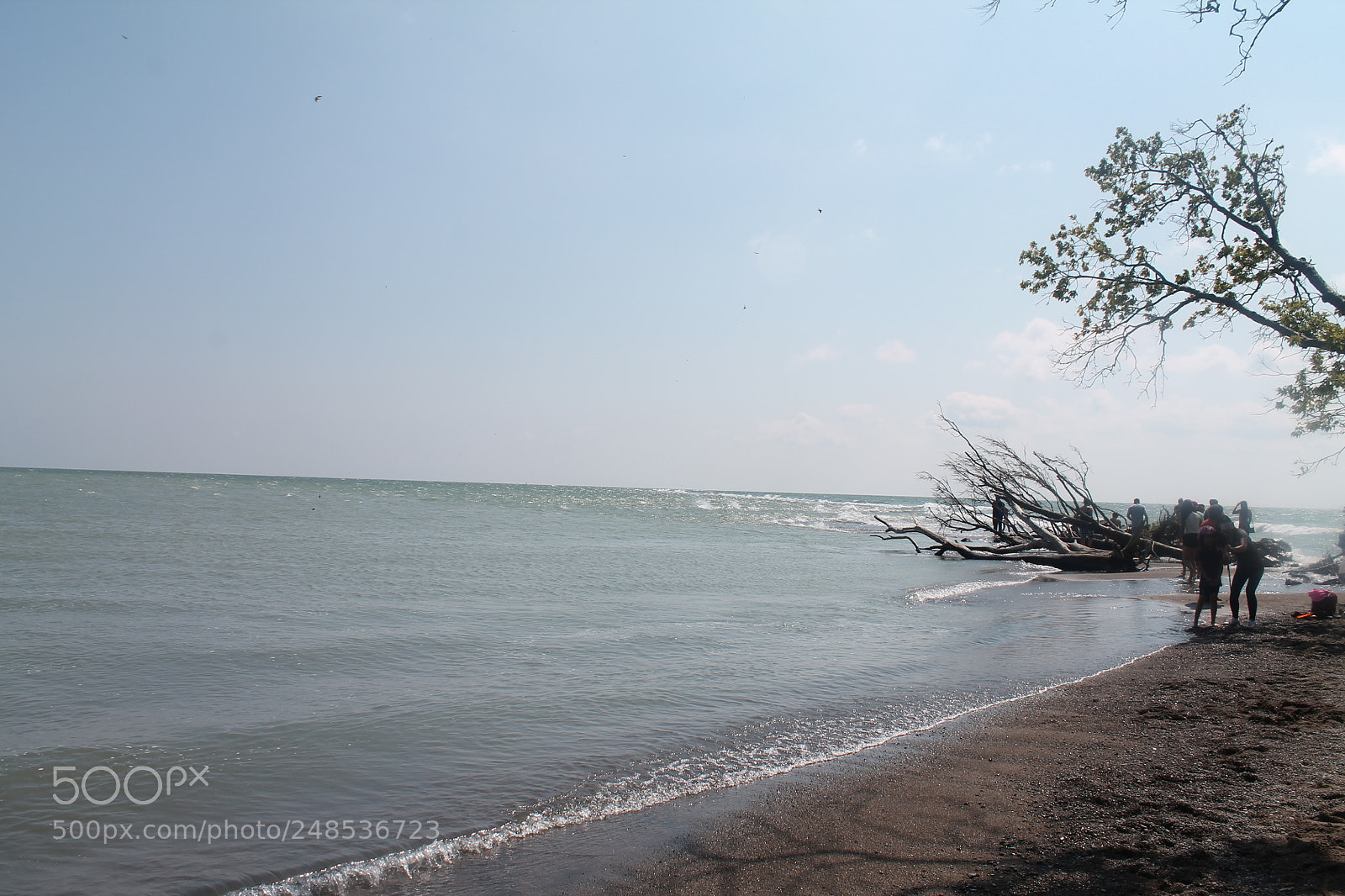 Canon EOS 1100D (EOS Rebel T3 / EOS Kiss X50) sample photo. Water rolling in photography