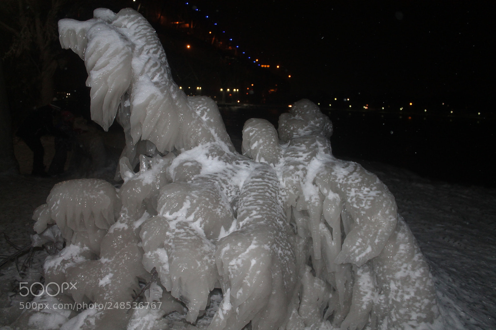 Canon EOS 1100D (EOS Rebel T3 / EOS Kiss X50) sample photo. Ice bush photography