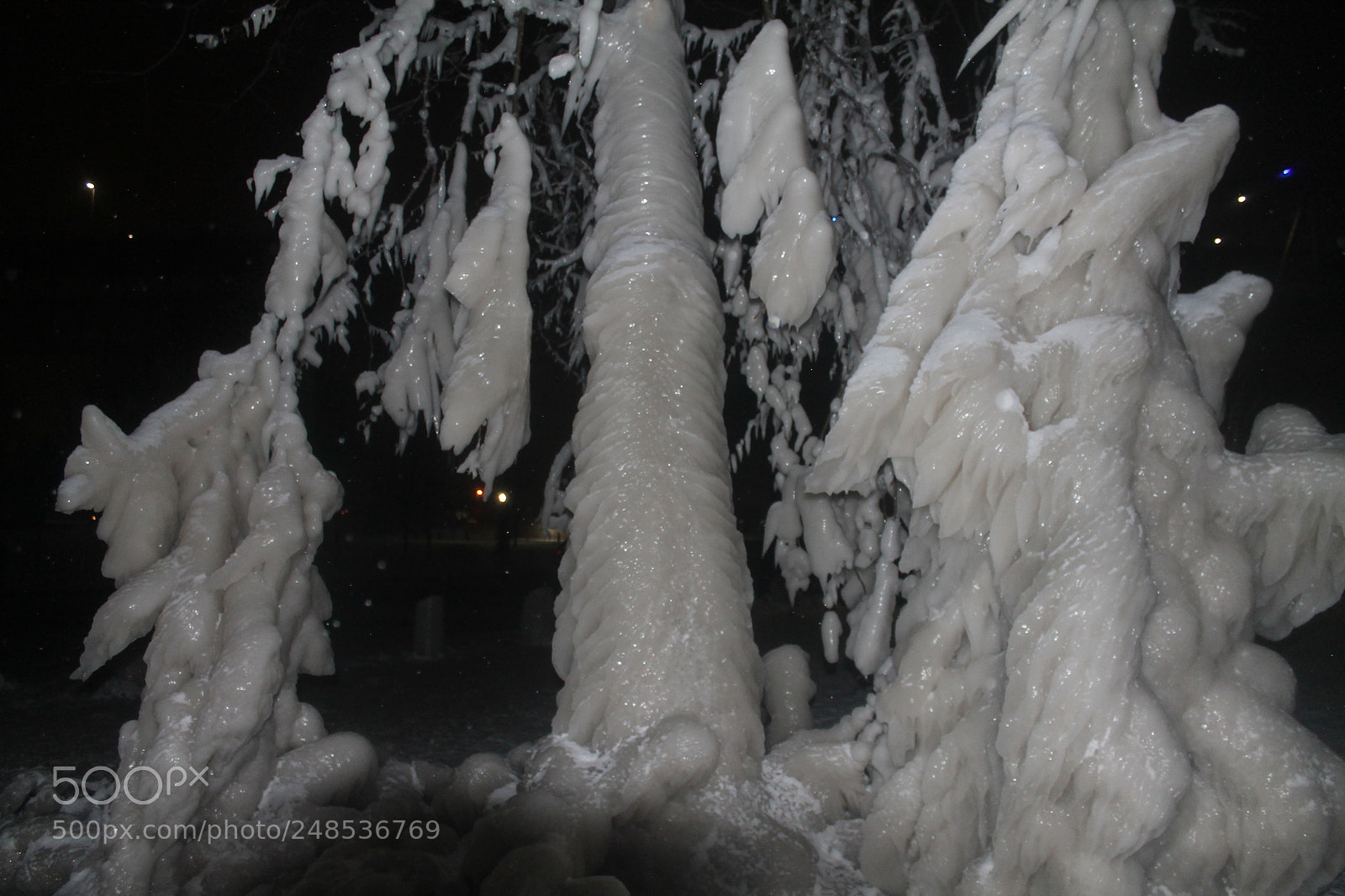 Canon EOS 1100D (EOS Rebel T3 / EOS Kiss X50) sample photo. Ice tree photography