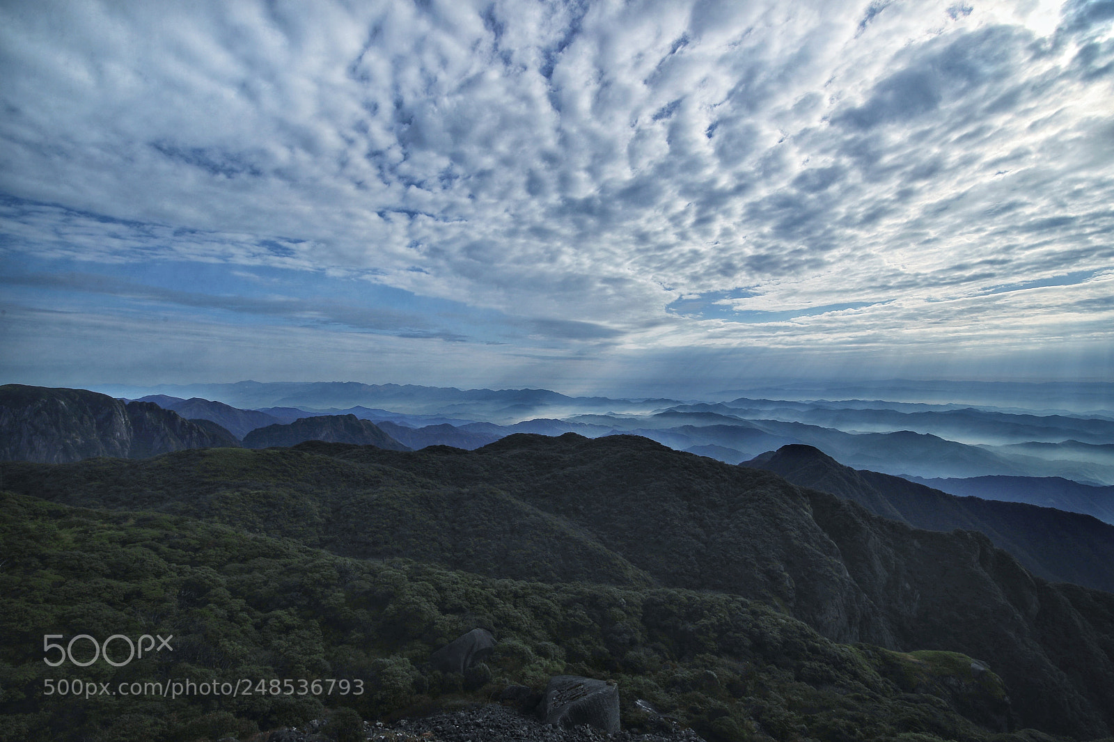 Canon EOS-1D X Mark II sample photo. Morning hill photography