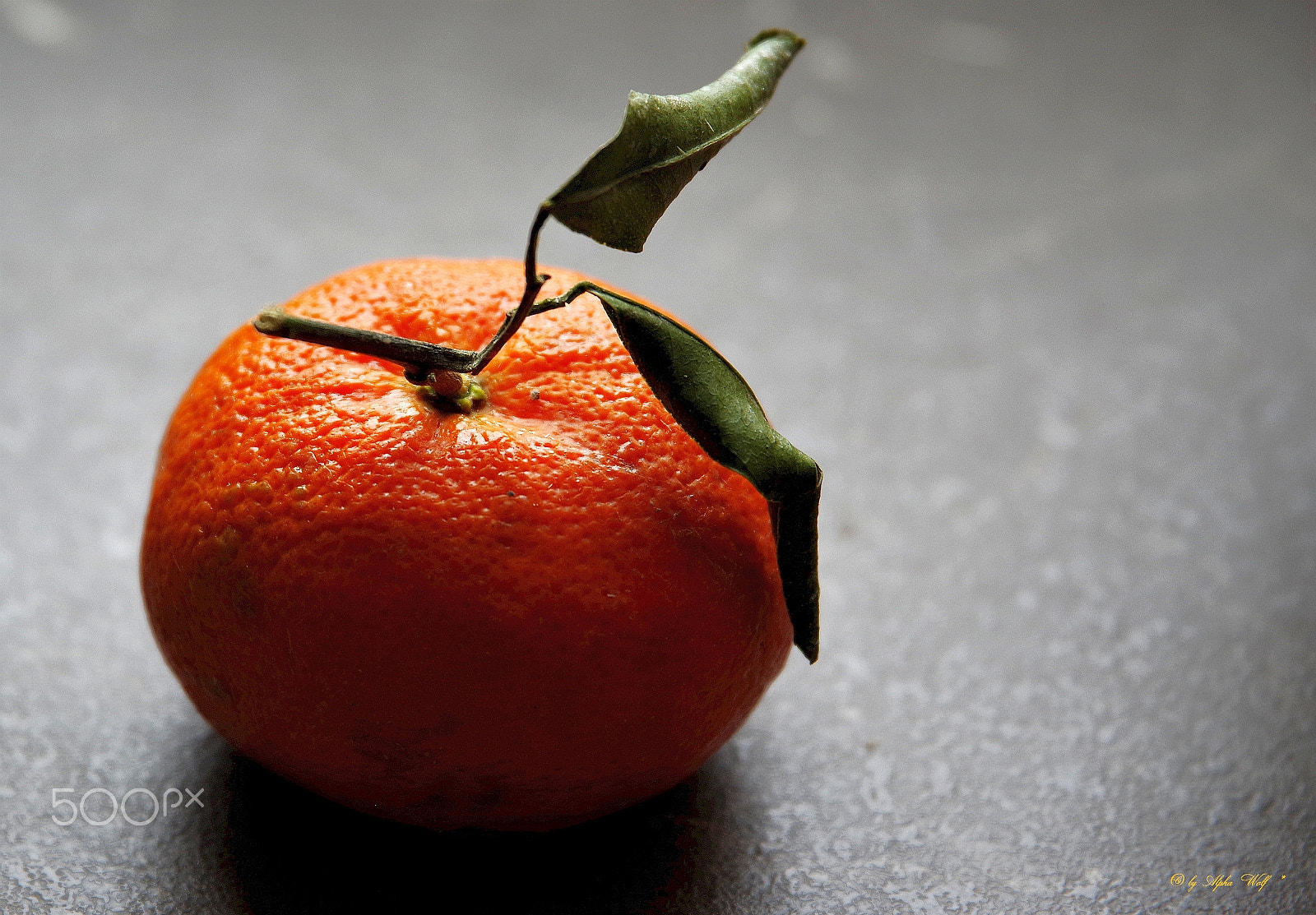 Pentax K-1 sample photo. Mandarine photography