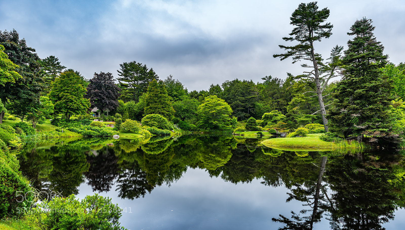 Nikon D800 sample photo. Asticou azalea garden photography