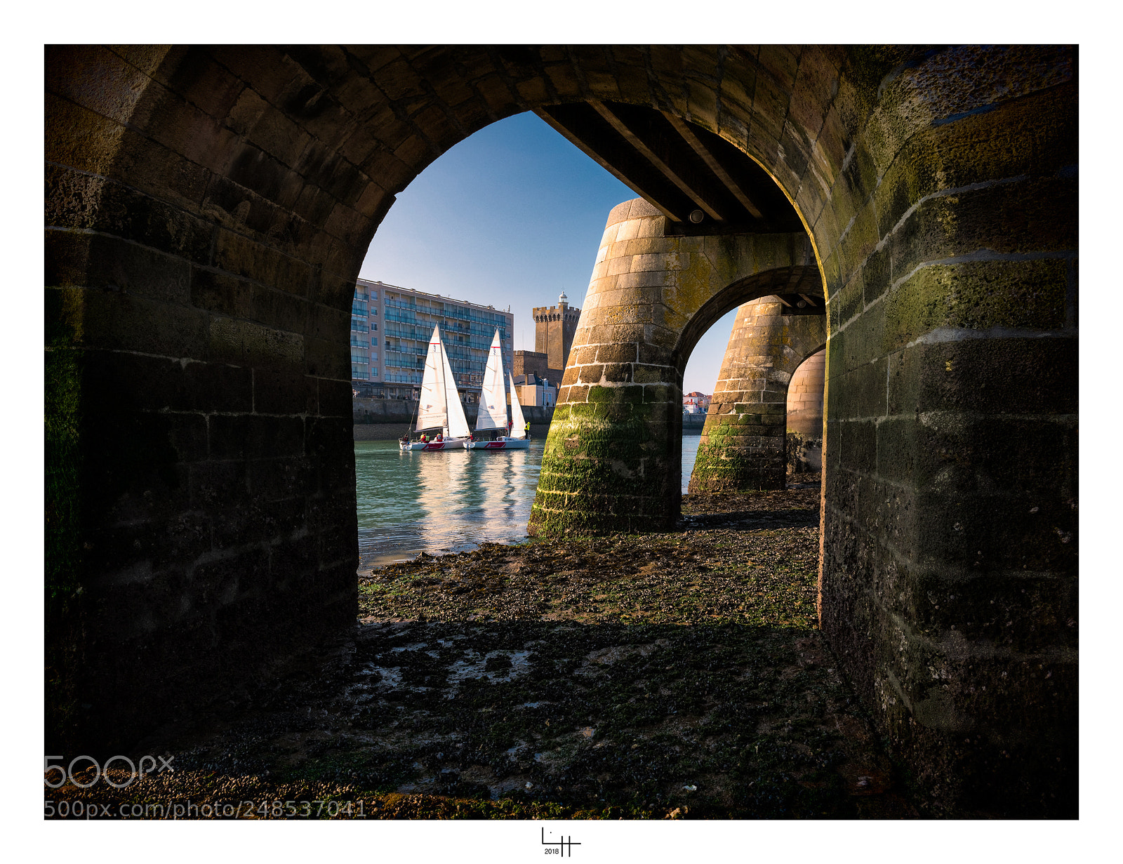 Nikon D850 sample photo. Retour au port des photography