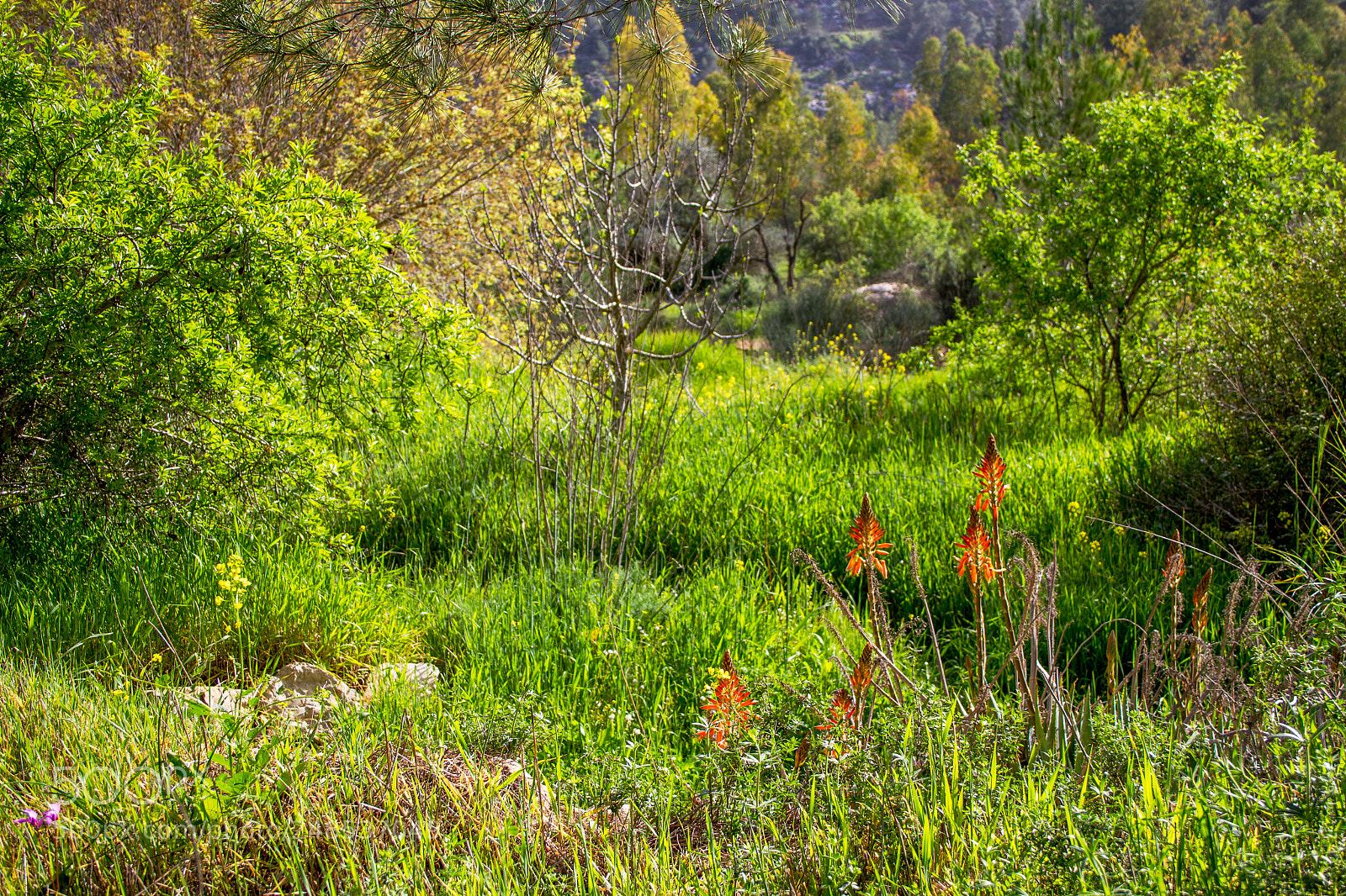 Canon EOS 7D sample photo. 013.jpg photography