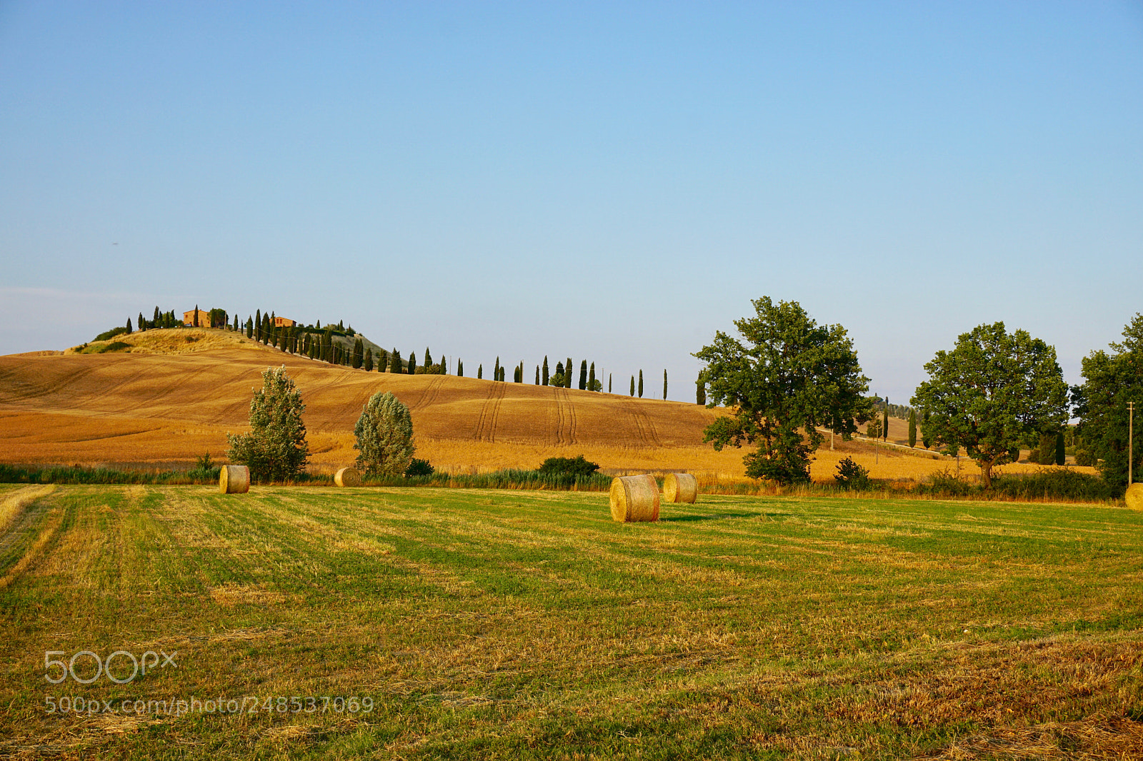 Sony a6000 sample photo. Crete senesi photography