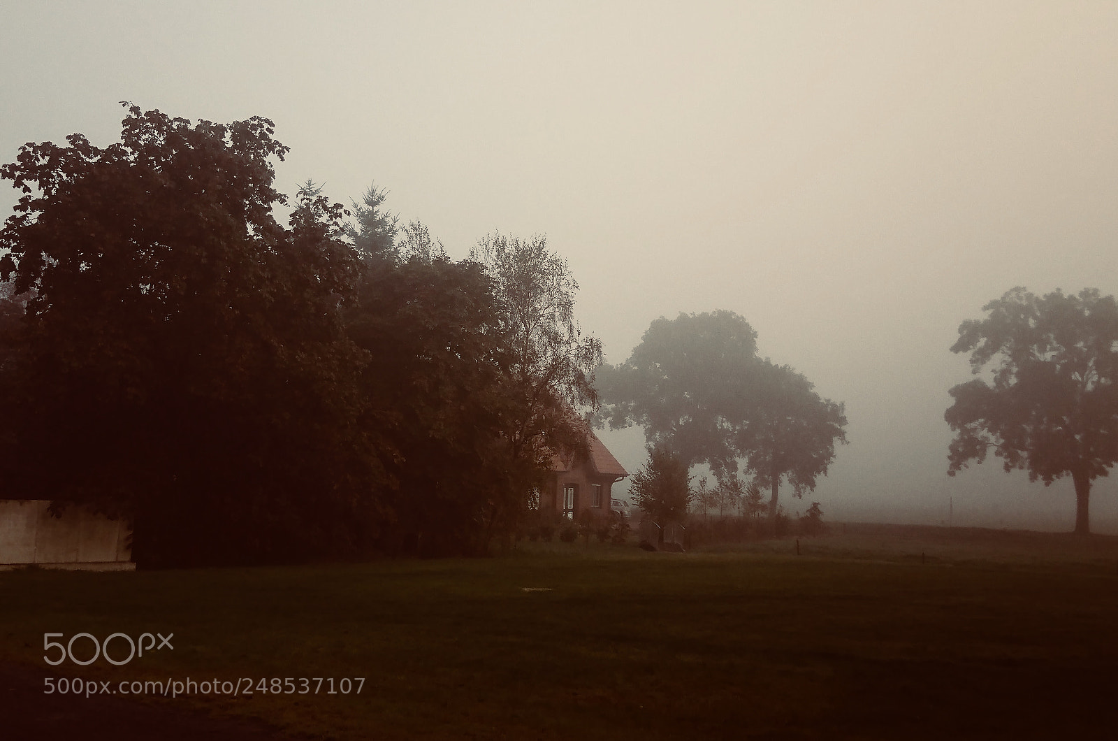 Sony Xperia XZ sample photo. Nebel photography