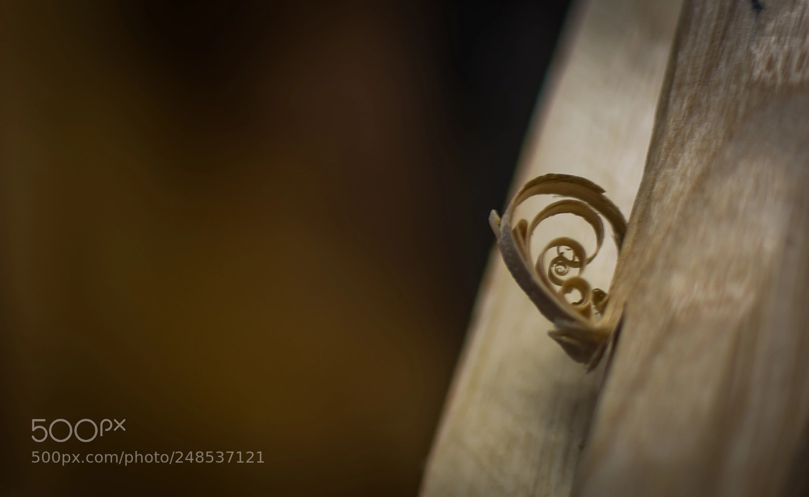 Nikon D7100 sample photo. Jdg_3461-2.jpg photography
