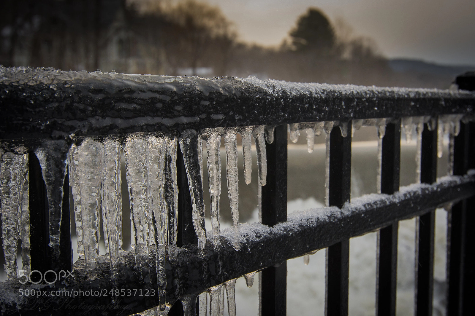 Nikon D7100 sample photo. Jdg_3524-2.jpg photography