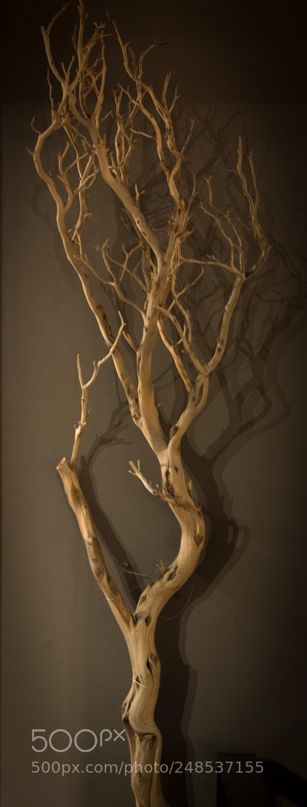 Nikon D7100 sample photo. Jdg_3331-5.jpg photography