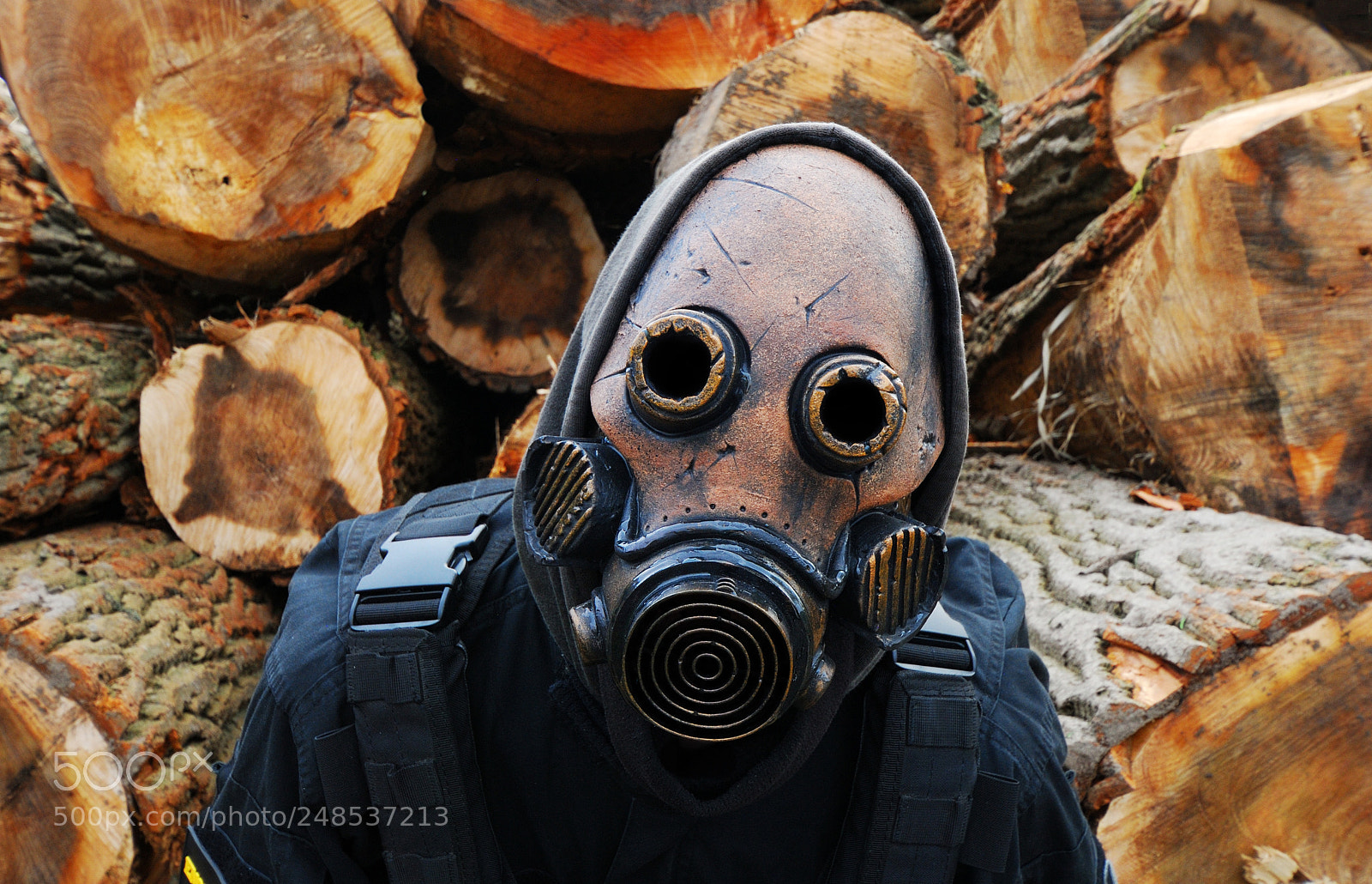 Nikon D60 sample photo. Lignum infructuosum photography