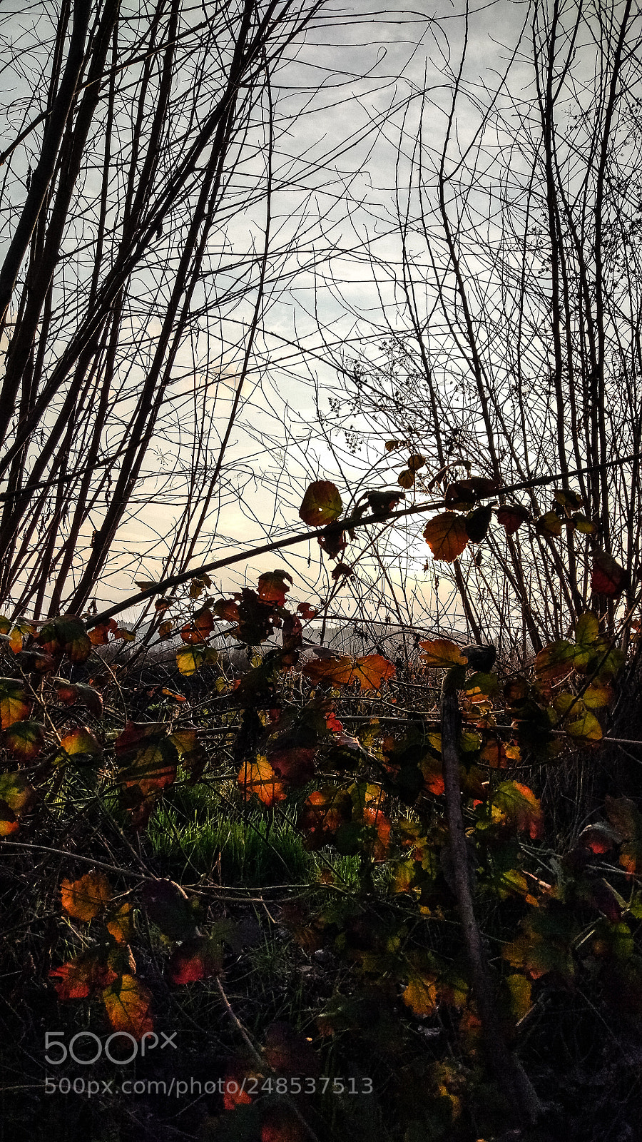 Xiaomi MI 5 sample photo. Hevsel / amed photography