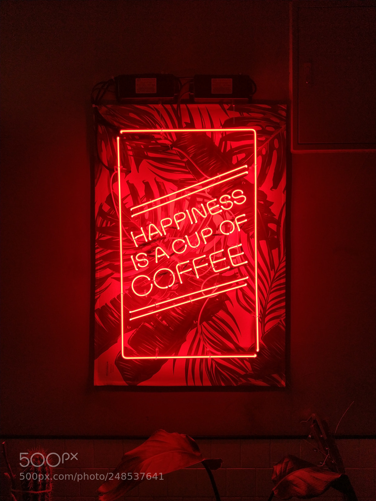 Xiaomi MIX 2 sample photo. Untitled photography