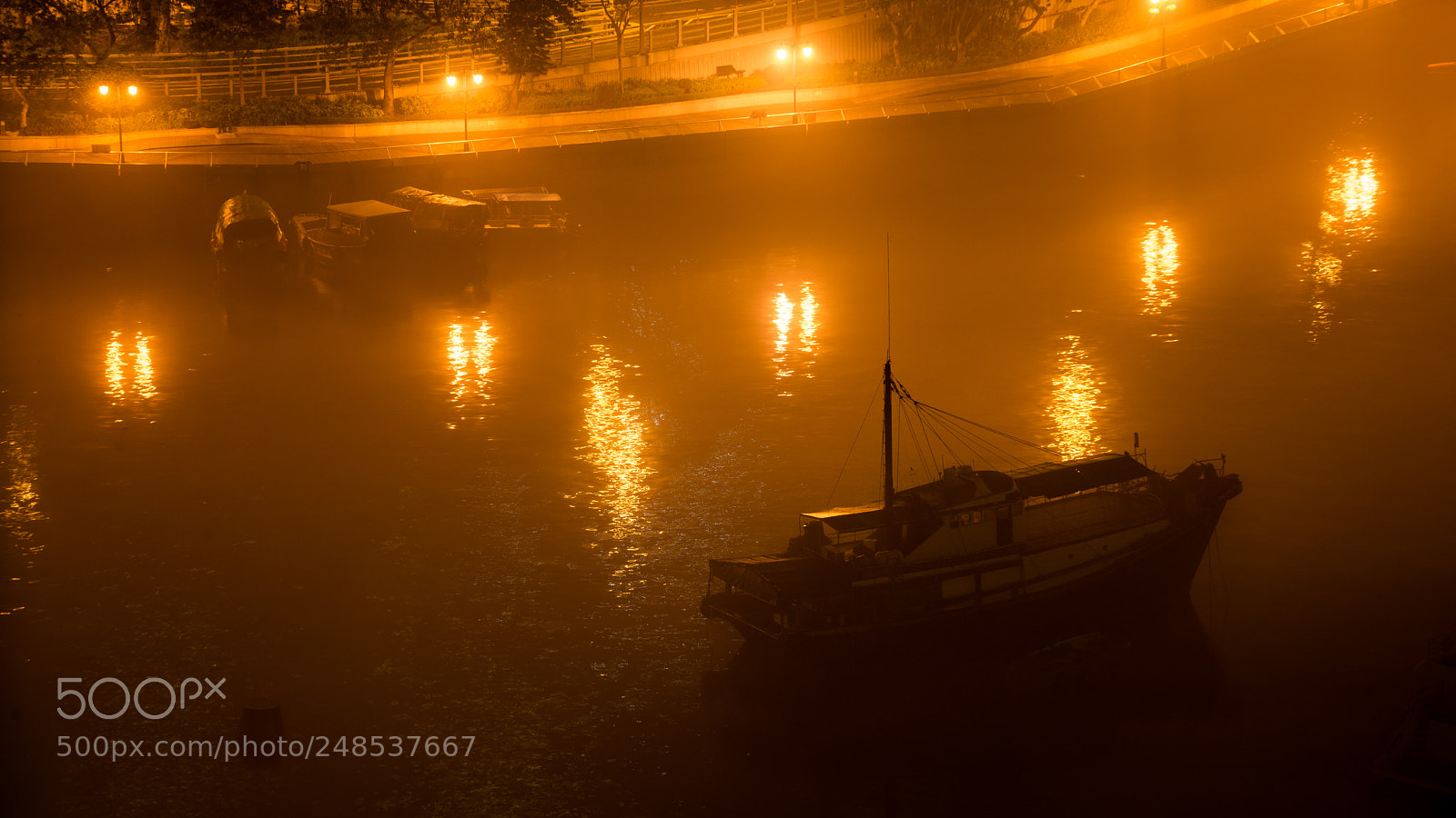 Nikon D610 sample photo. Foggy harbor photography