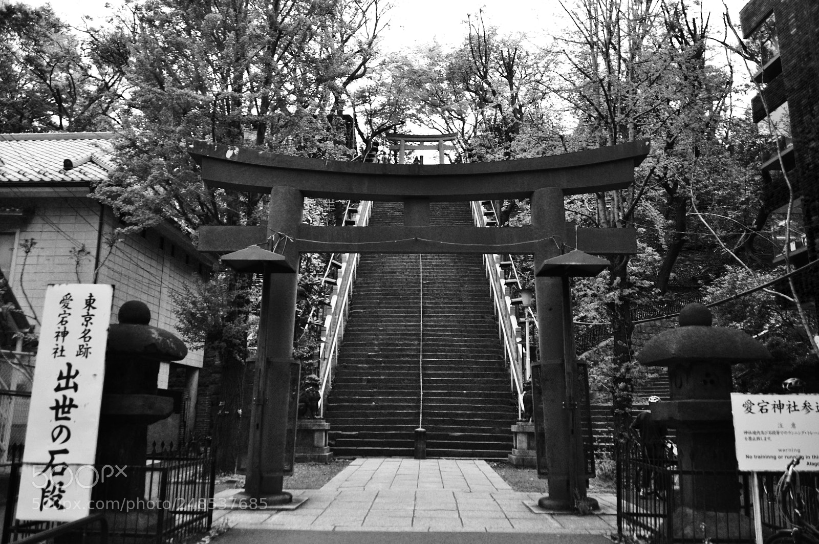 Nikon D5000 sample photo. Steps for heaven photography