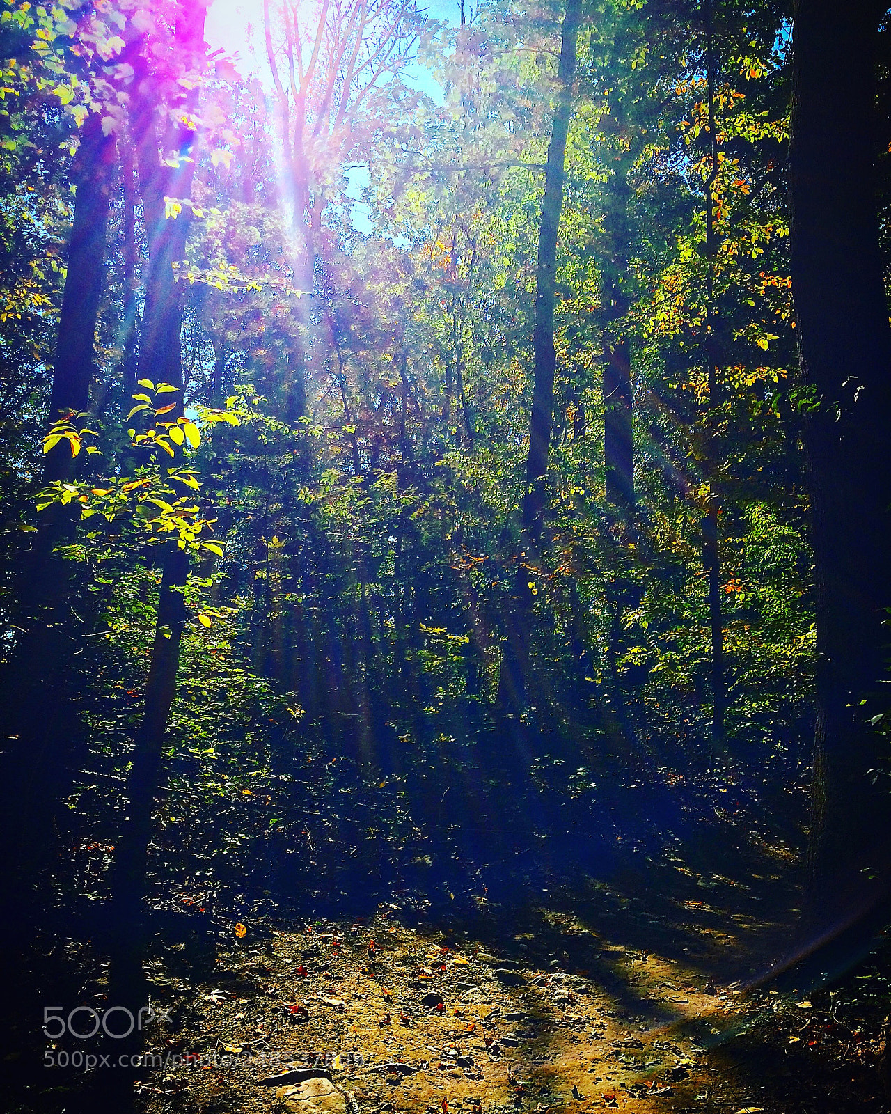 Apple iPhone 5s sample photo. Shining photography