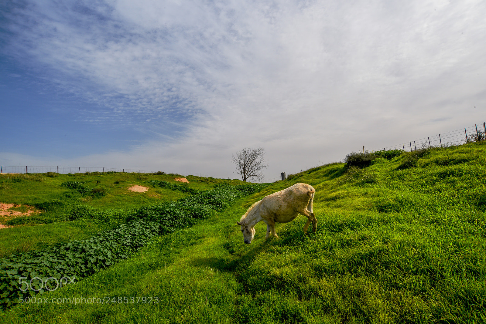 Nikon D810 sample photo. Beeri crater, northern negev photography