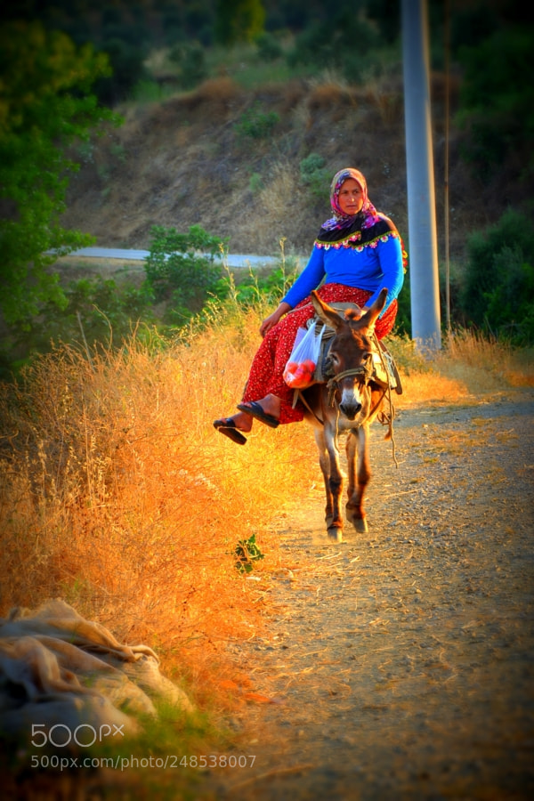 Nikon D90 sample photo. 8 march photography