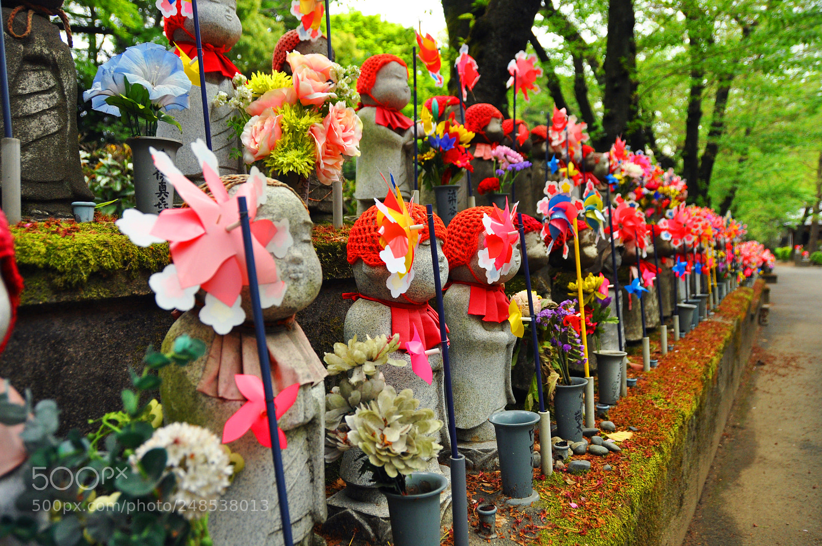 Nikon D5000 sample photo. Stone cuties photography