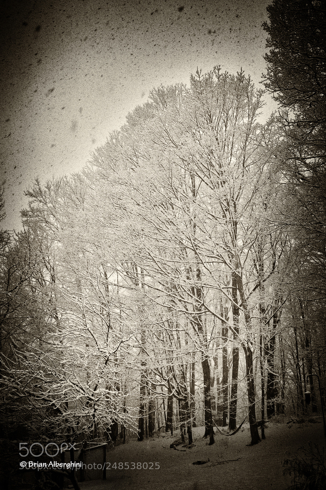 Nikon D7100 sample photo. The storm photography