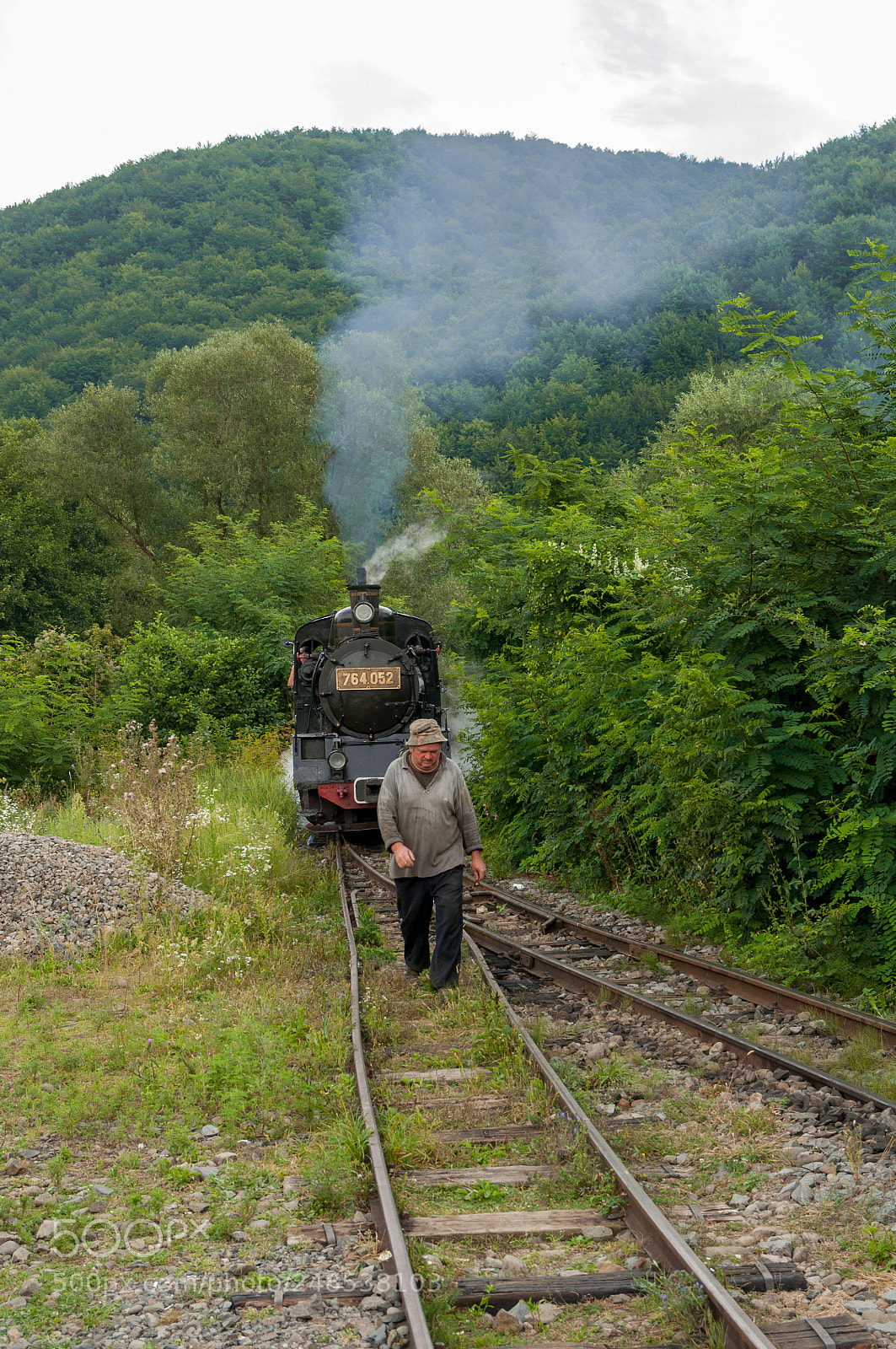 Nikon D90 sample photo. Forest, nature, people, train photography
