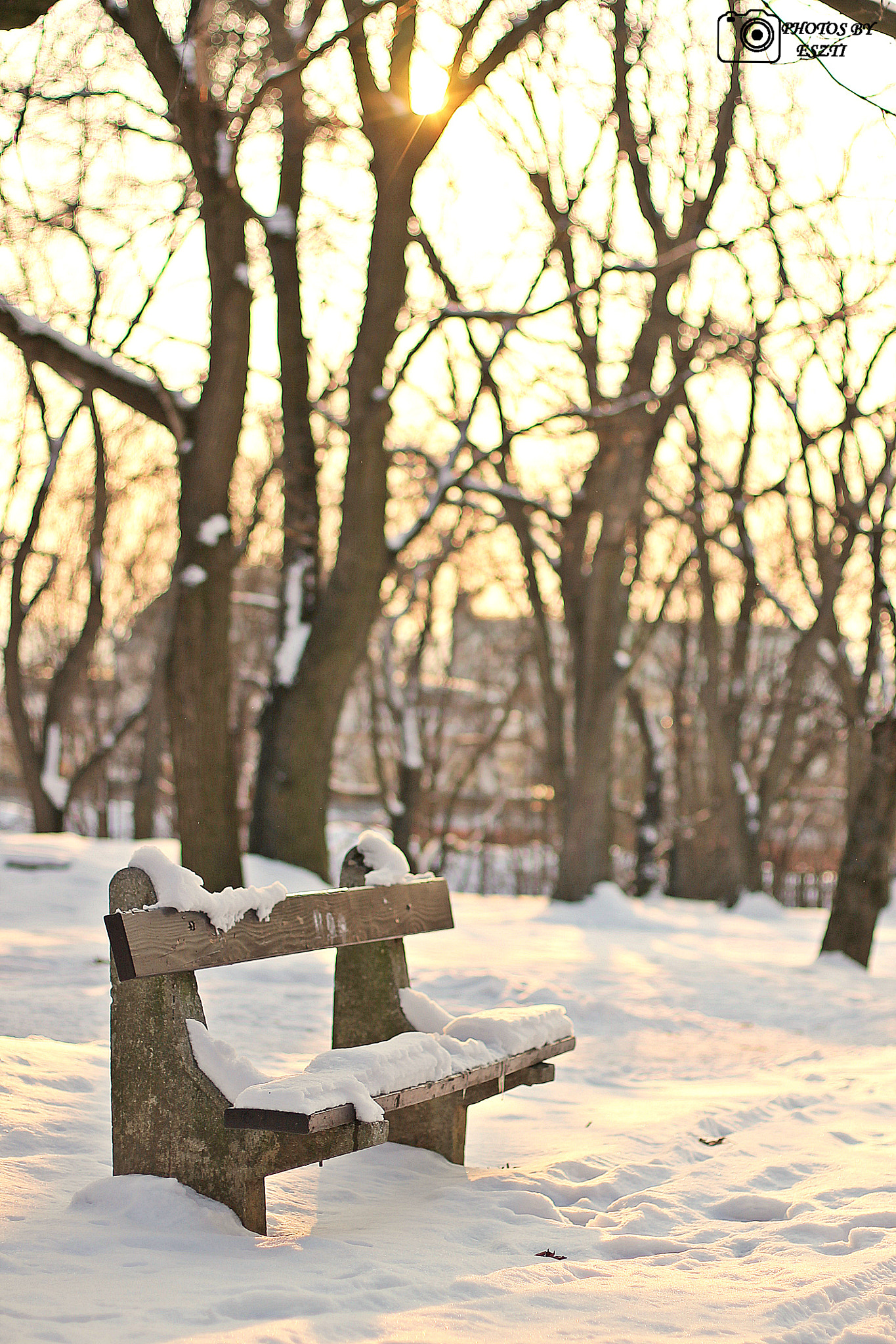 Canon EOS 1100D (EOS Rebel T3 / EOS Kiss X50) + Canon EF 50mm F1.4 USM sample photo. Winter in hungary photography