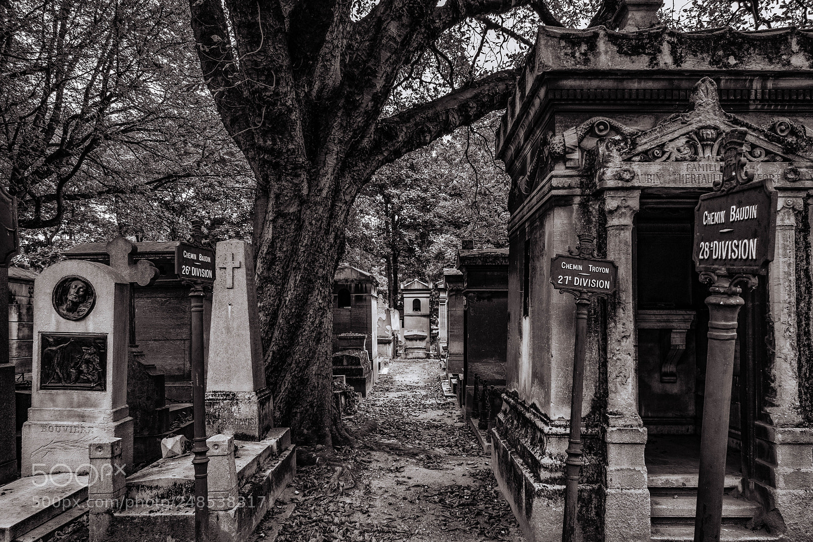Nikon D5500 sample photo. Cimetière de montmartre photography