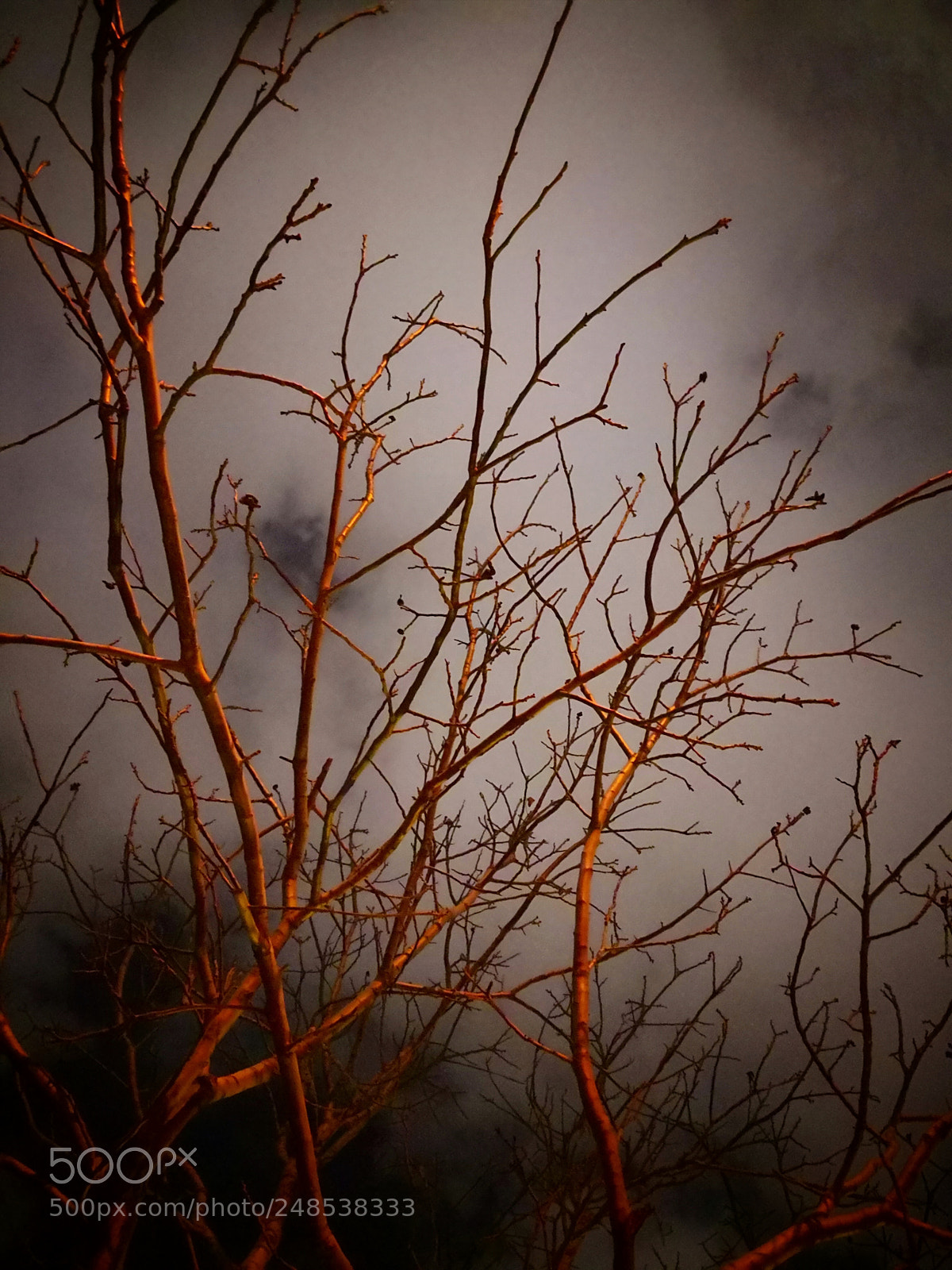 HUAWEI Mate 10 Pro sample photo. Bright night photography