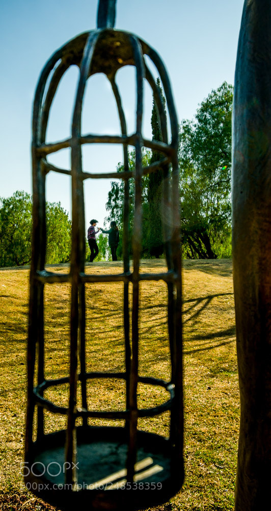 Nikon D3400 sample photo. Dos pajarillos. photography