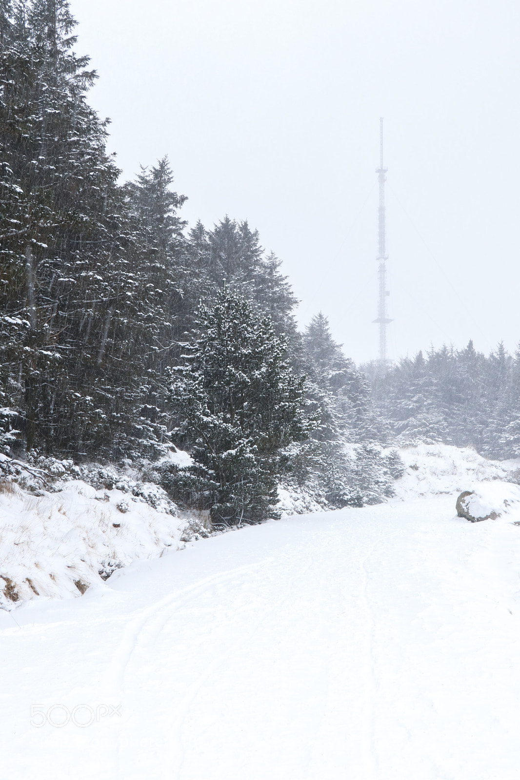 Canon EOS 80D sample photo. Snowing photography