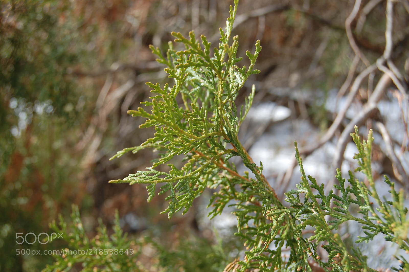Nikon D40 sample photo. Eger photography