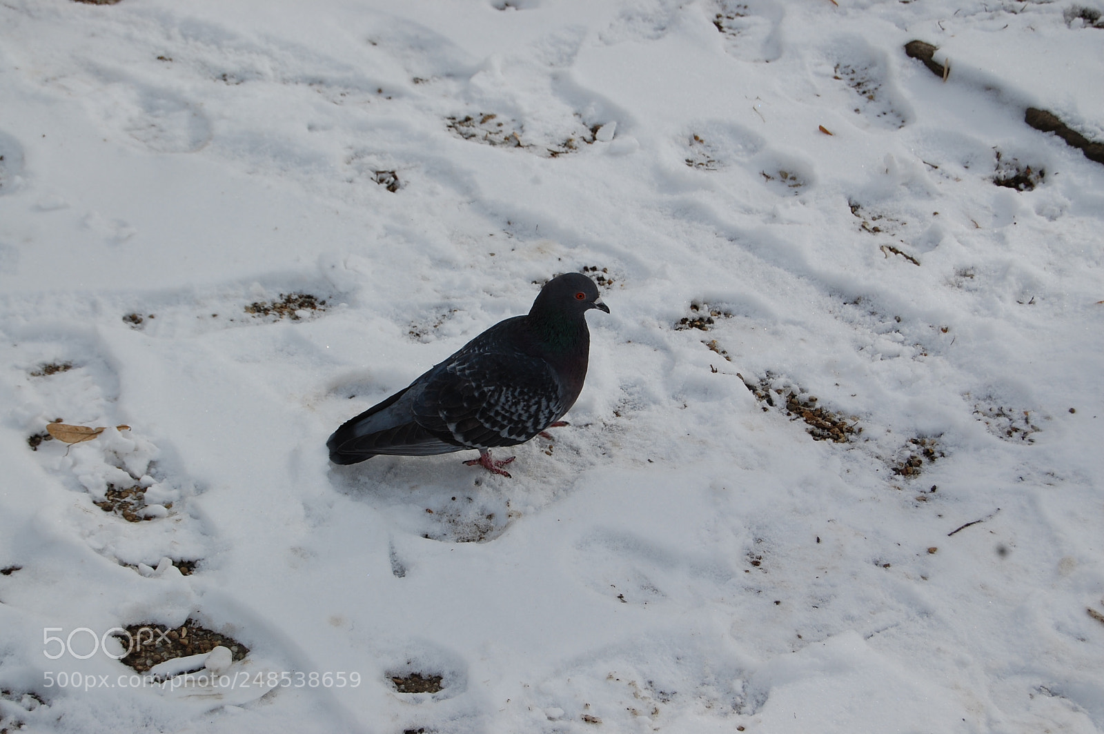 Nikon D40 sample photo. Eger photography