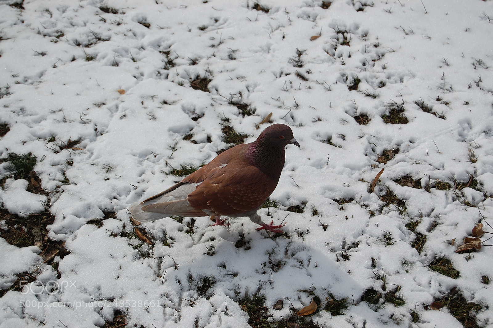 Nikon D40 sample photo. Eger photography