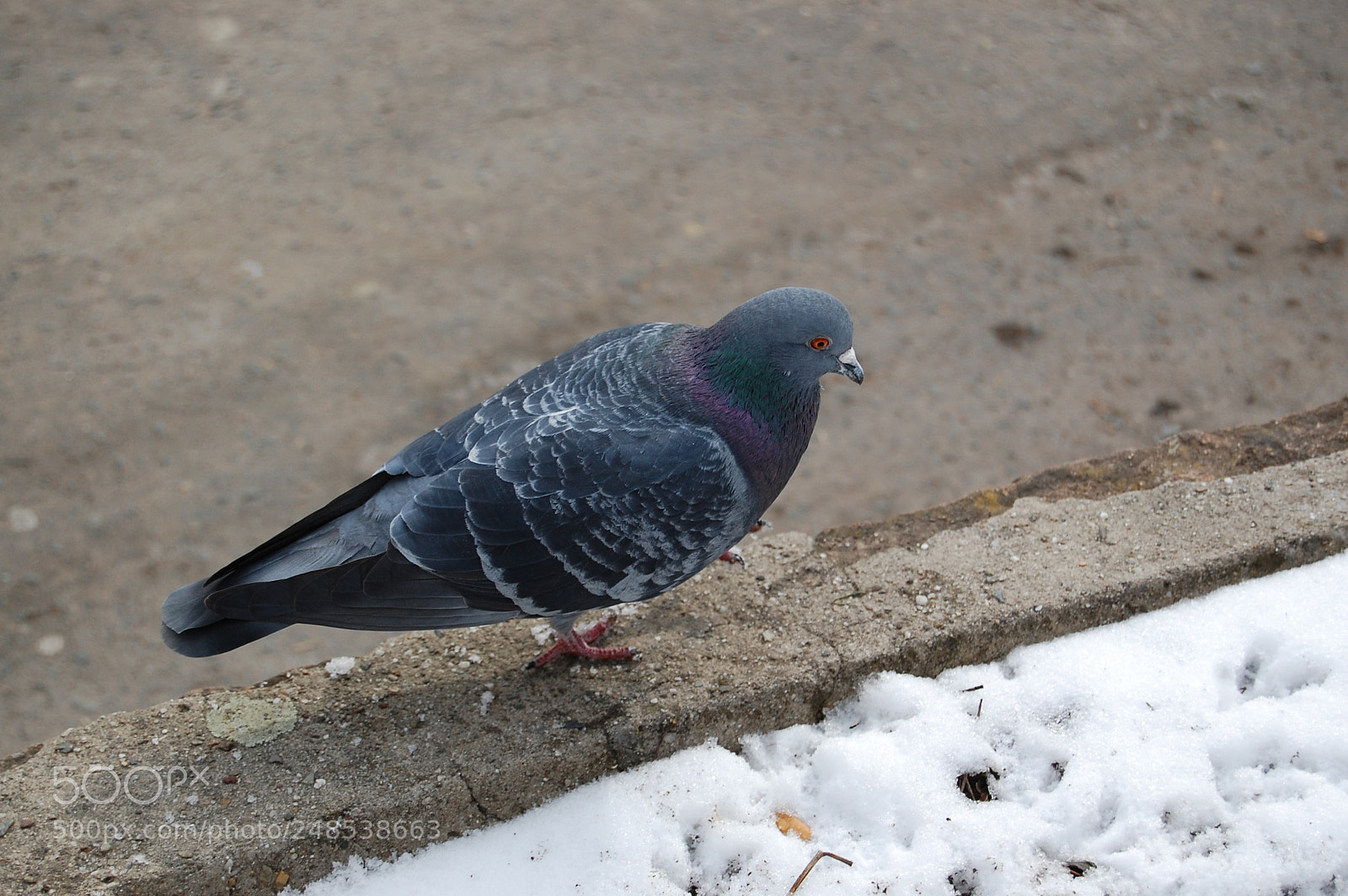 Nikon D40 sample photo. Eger photography