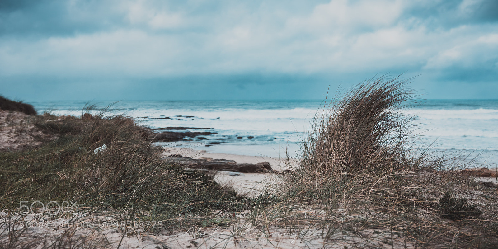Nikon D7100 sample photo. Windy shore photography