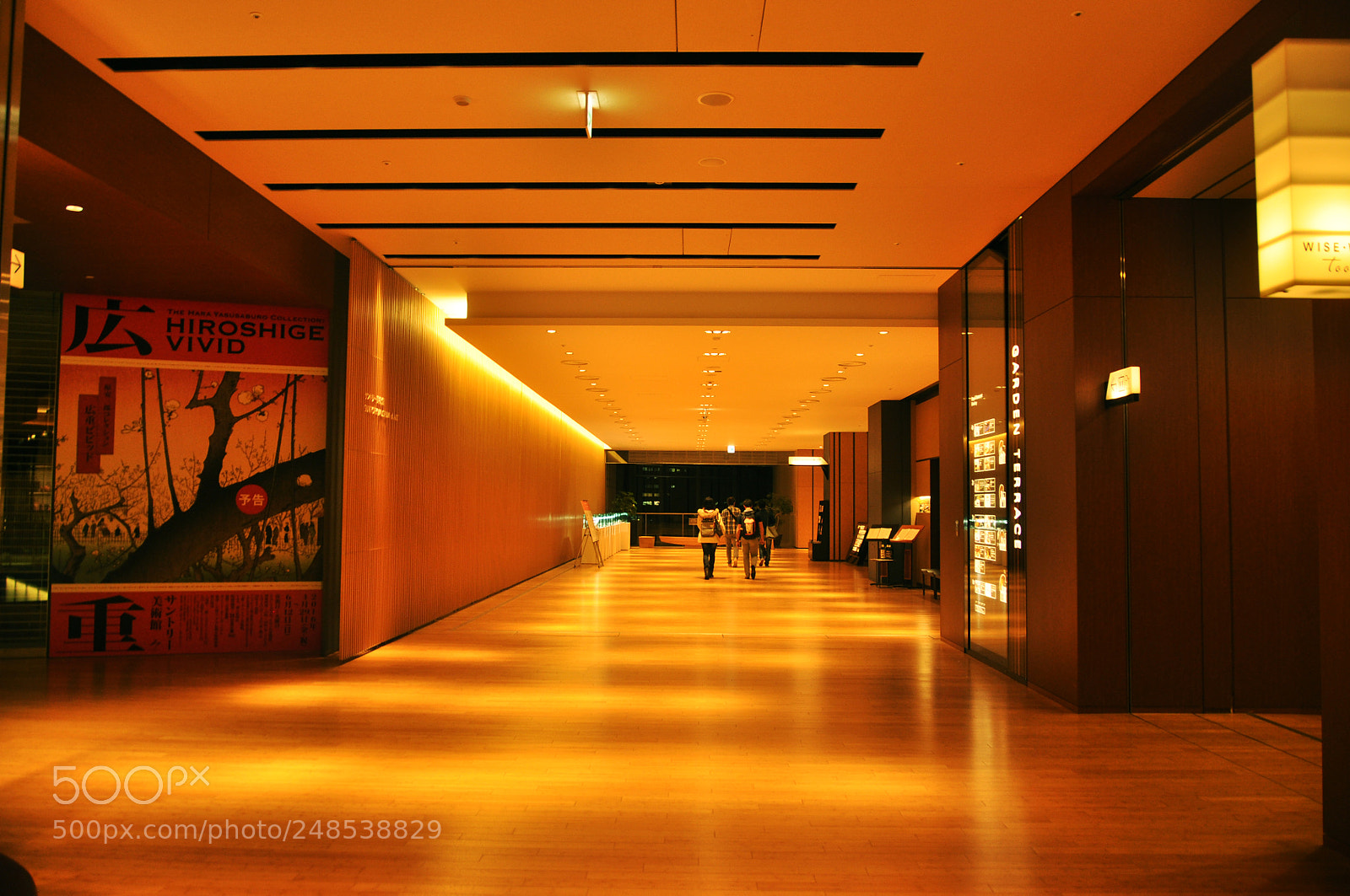 Nikon D5000 sample photo. Building honey photography