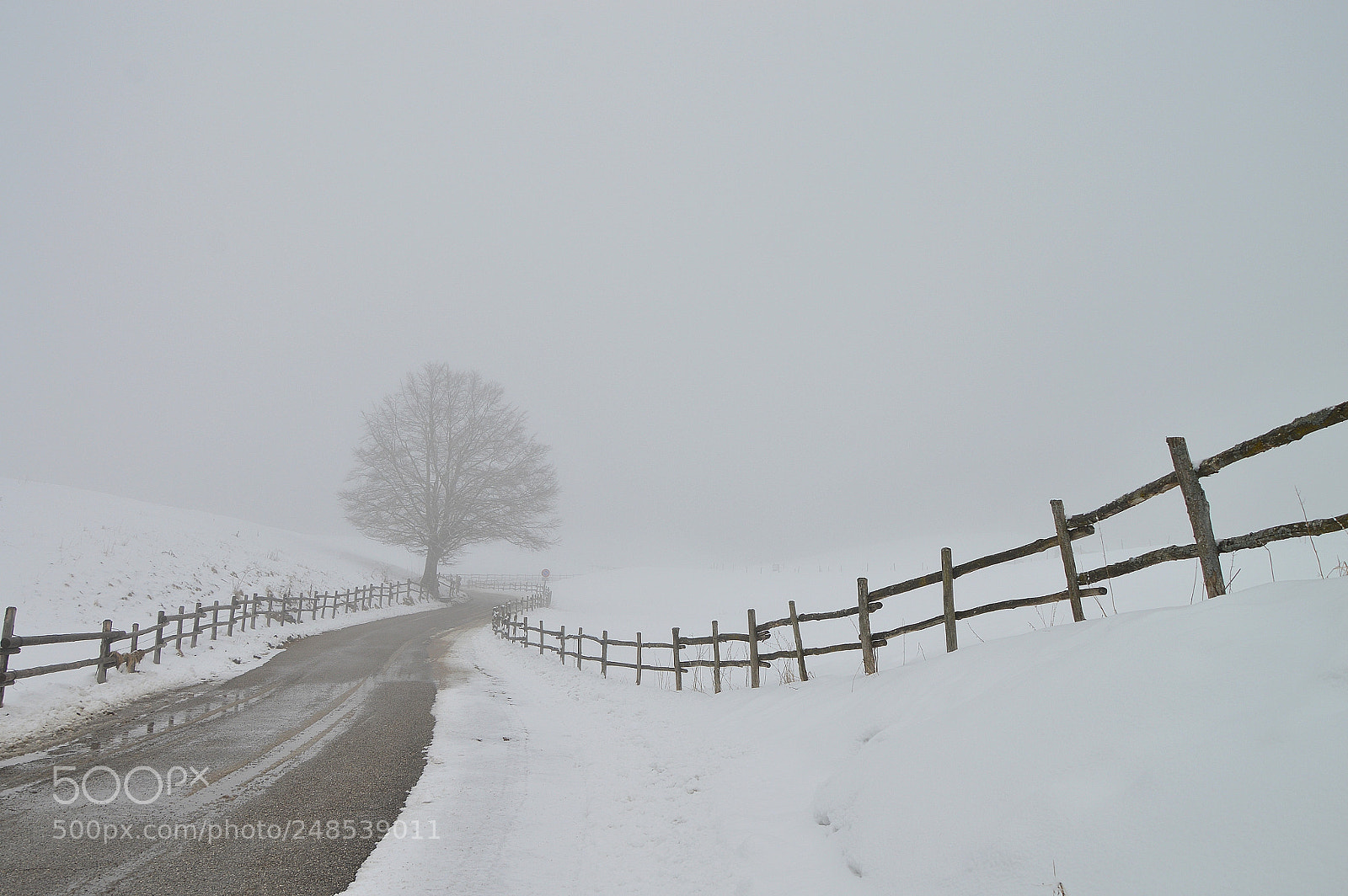 Nikon D3200 sample photo. Road in the fog photography