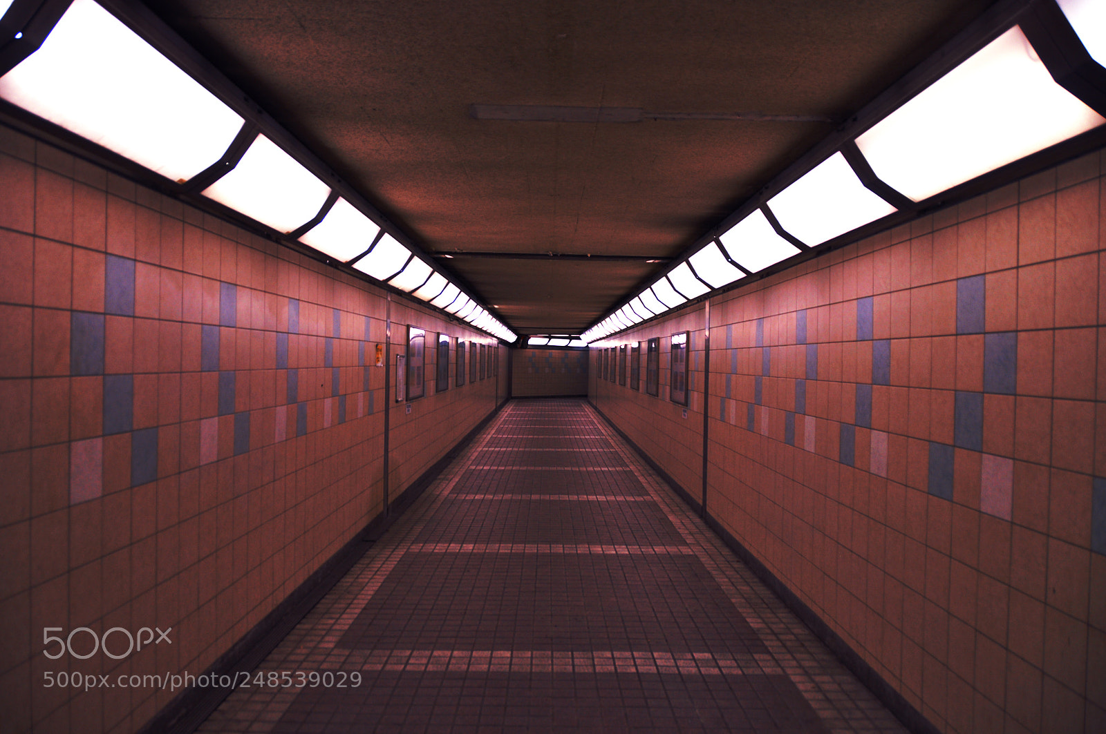 Nikon D5000 sample photo. Underbridge cross photography