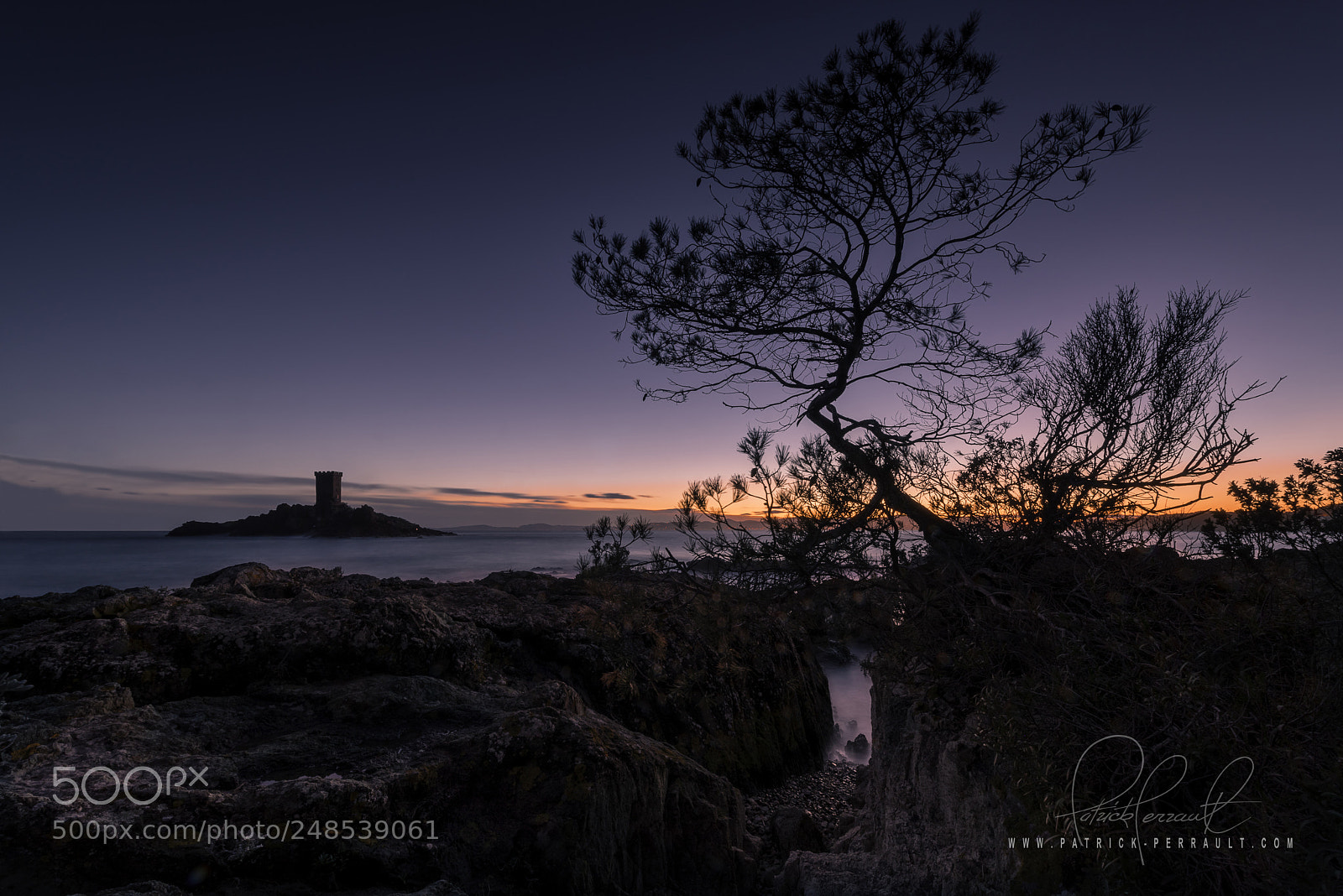 Nikon D810 sample photo. Ile d'or tree photography