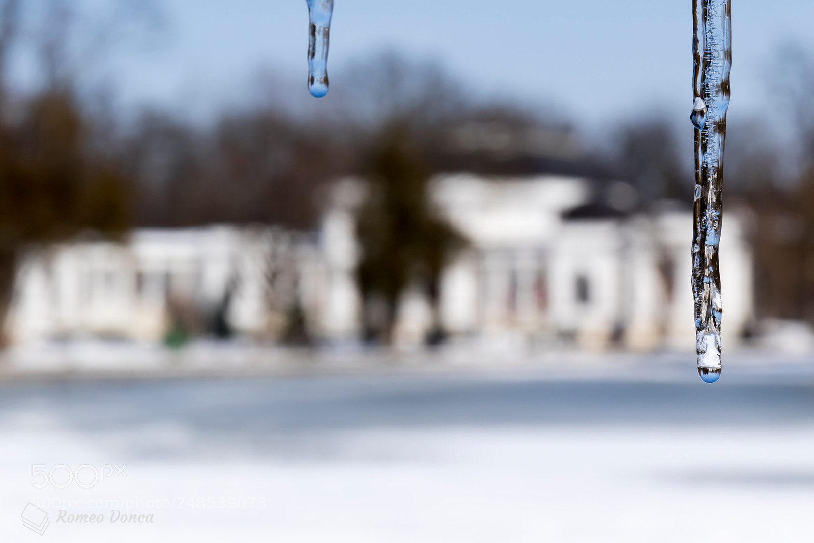 Canon EOS 7D Mark II sample photo. A walk trough the photography