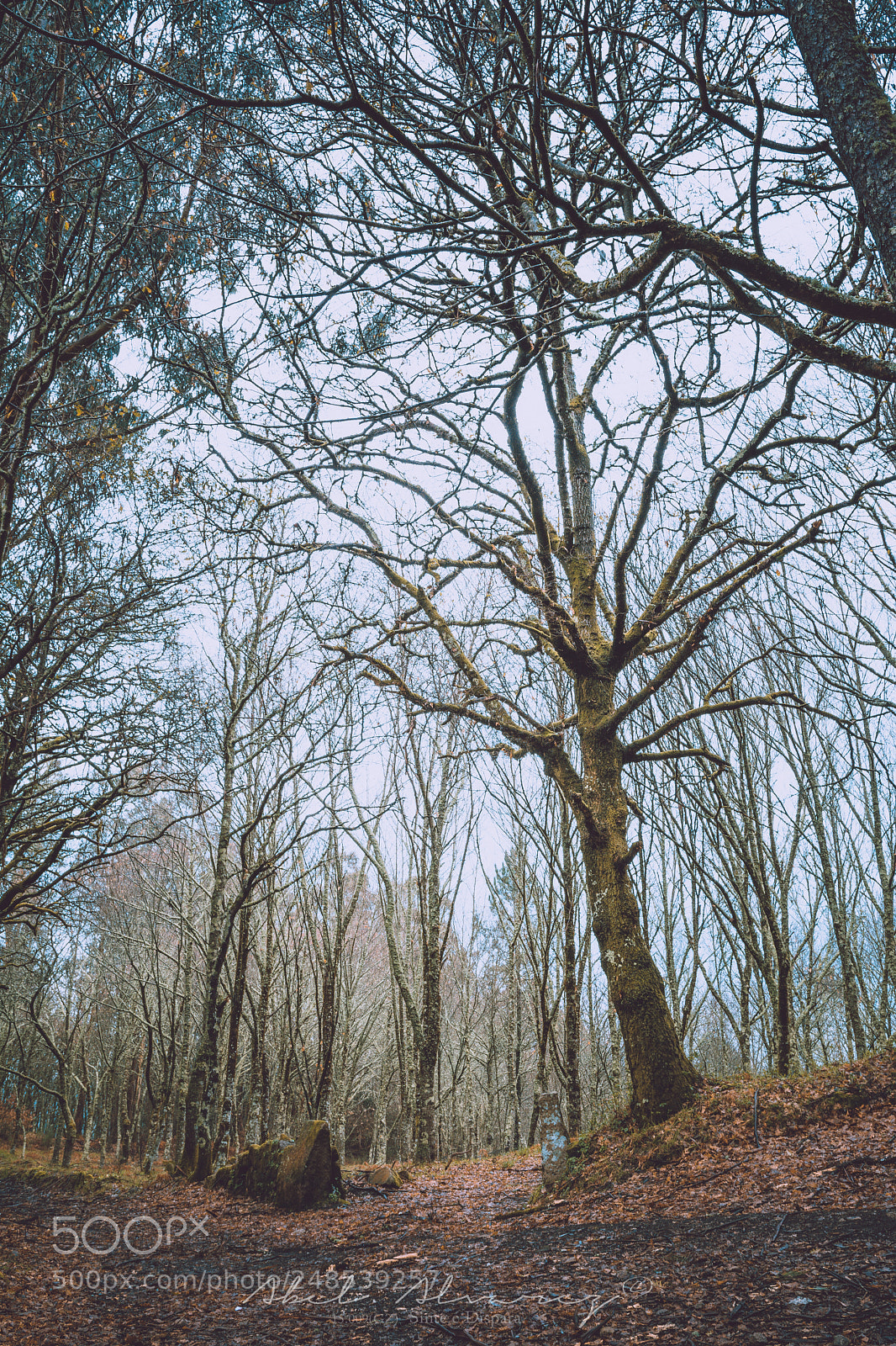Nikon D7100 sample photo. Galician crosrroad photography