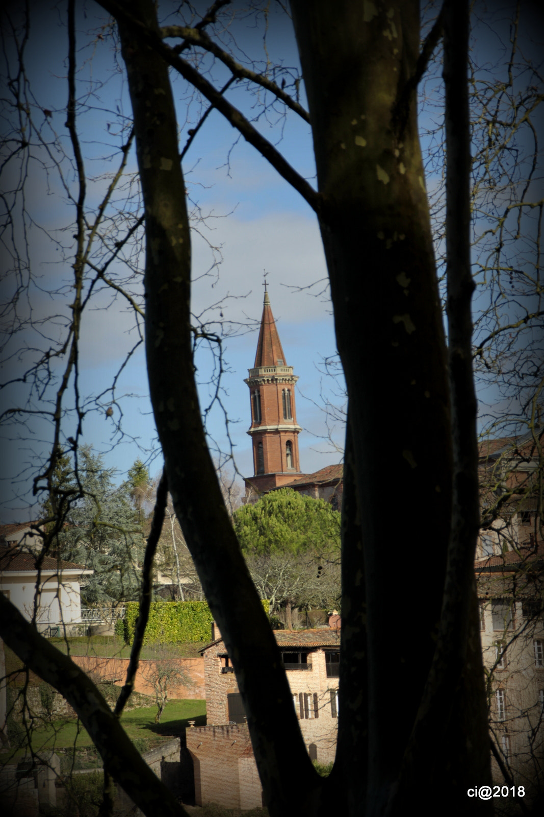 Canon EOS 50D sample photo. Mg photography