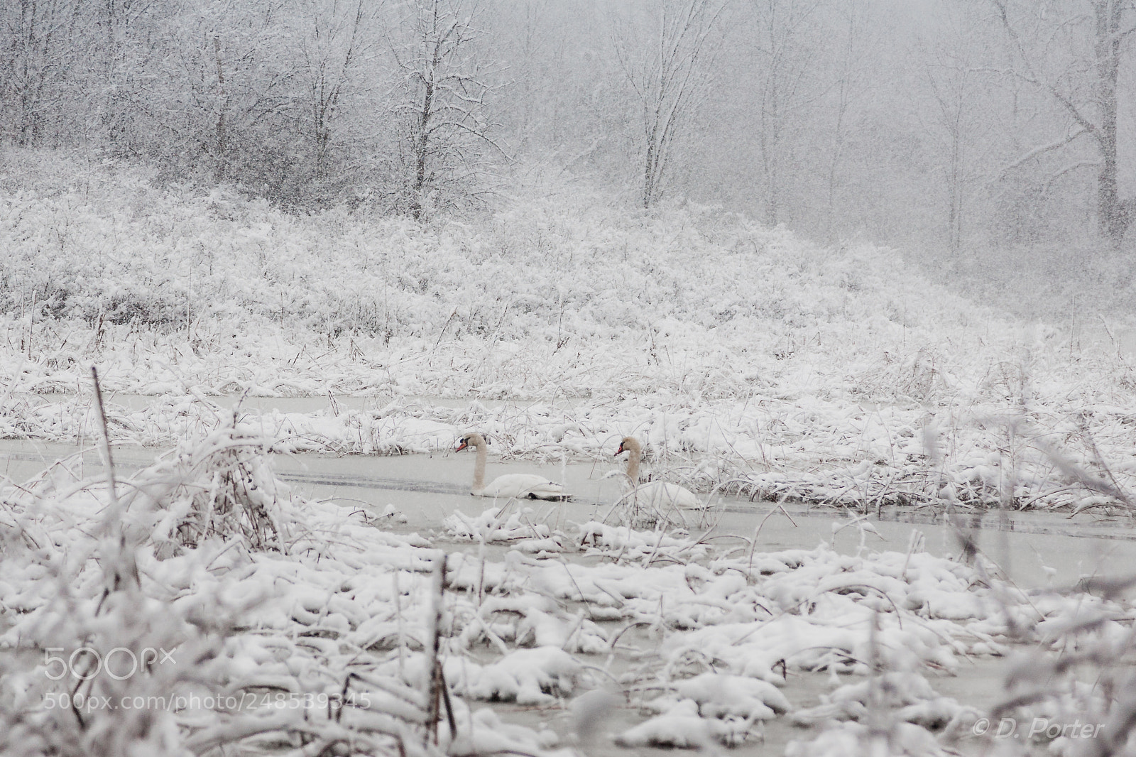 Canon EOS 5D sample photo. Caught in a storm photography