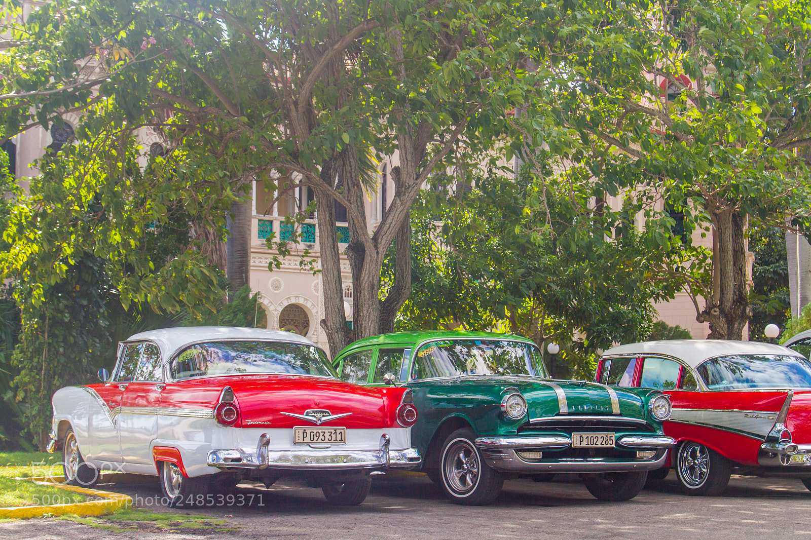 Canon EOS 7D sample photo. Enjoying the shade photography