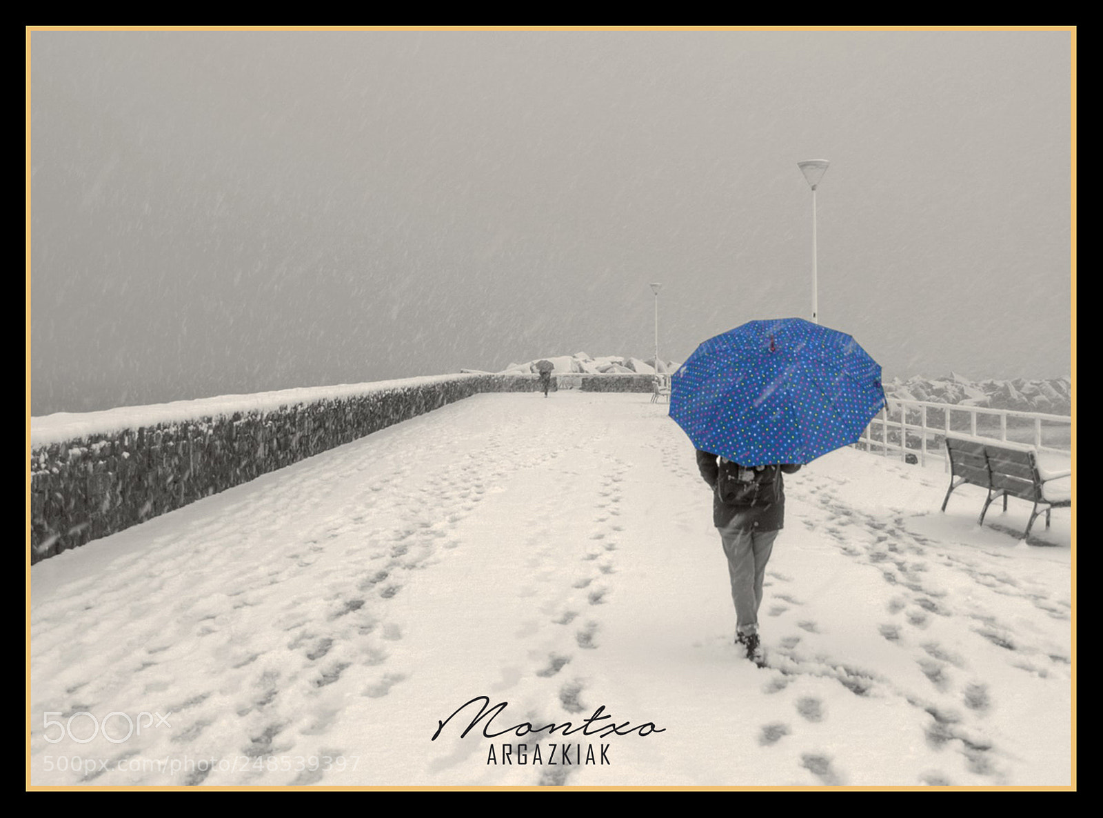 Nikon D700 sample photo. Umbrella  /  snow photography