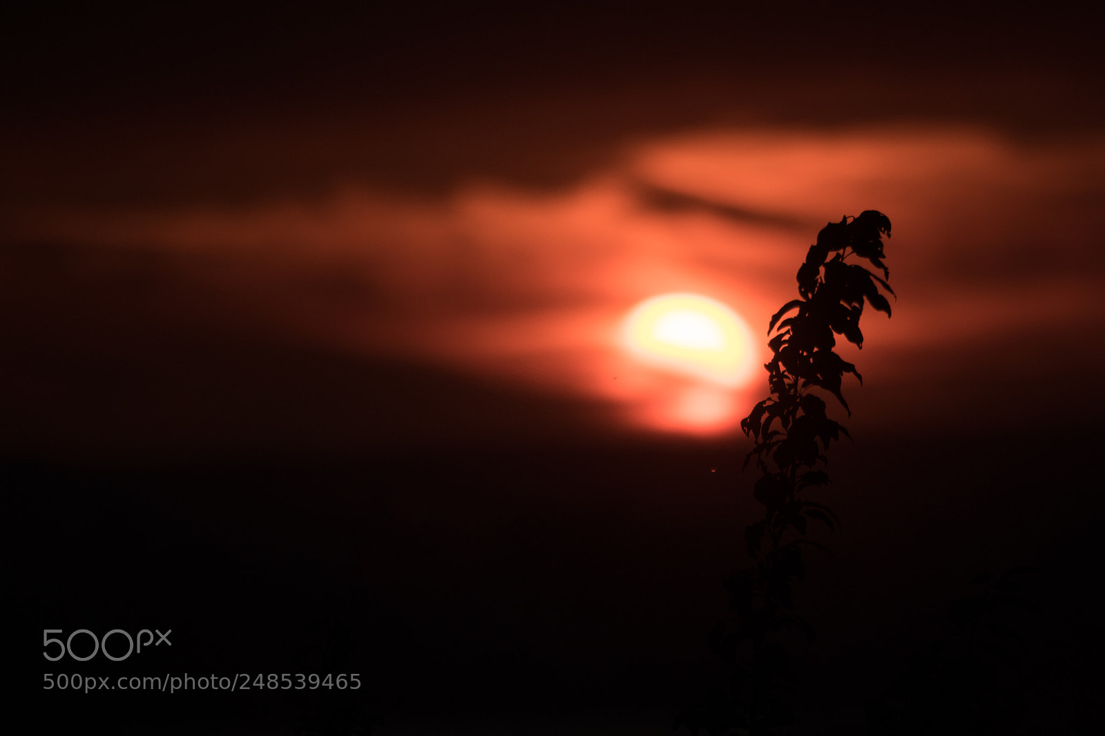 Canon EOS 80D sample photo. Alone at dawn photography