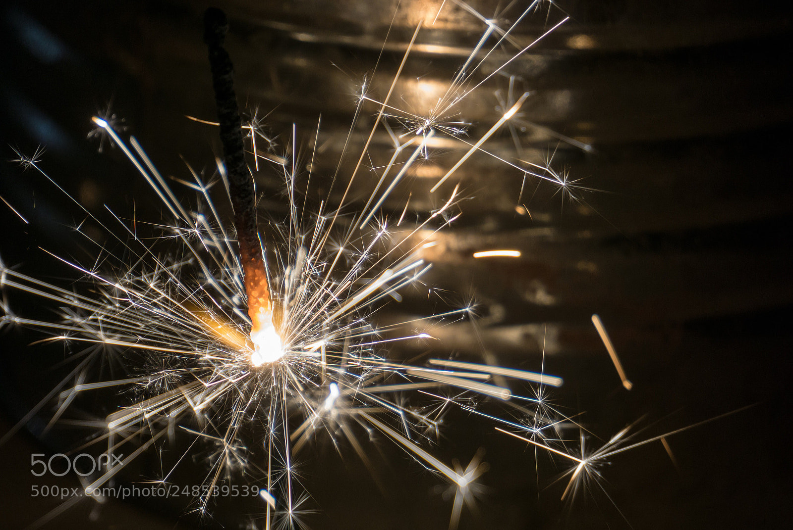 Sony a6000 sample photo. Sparks photography