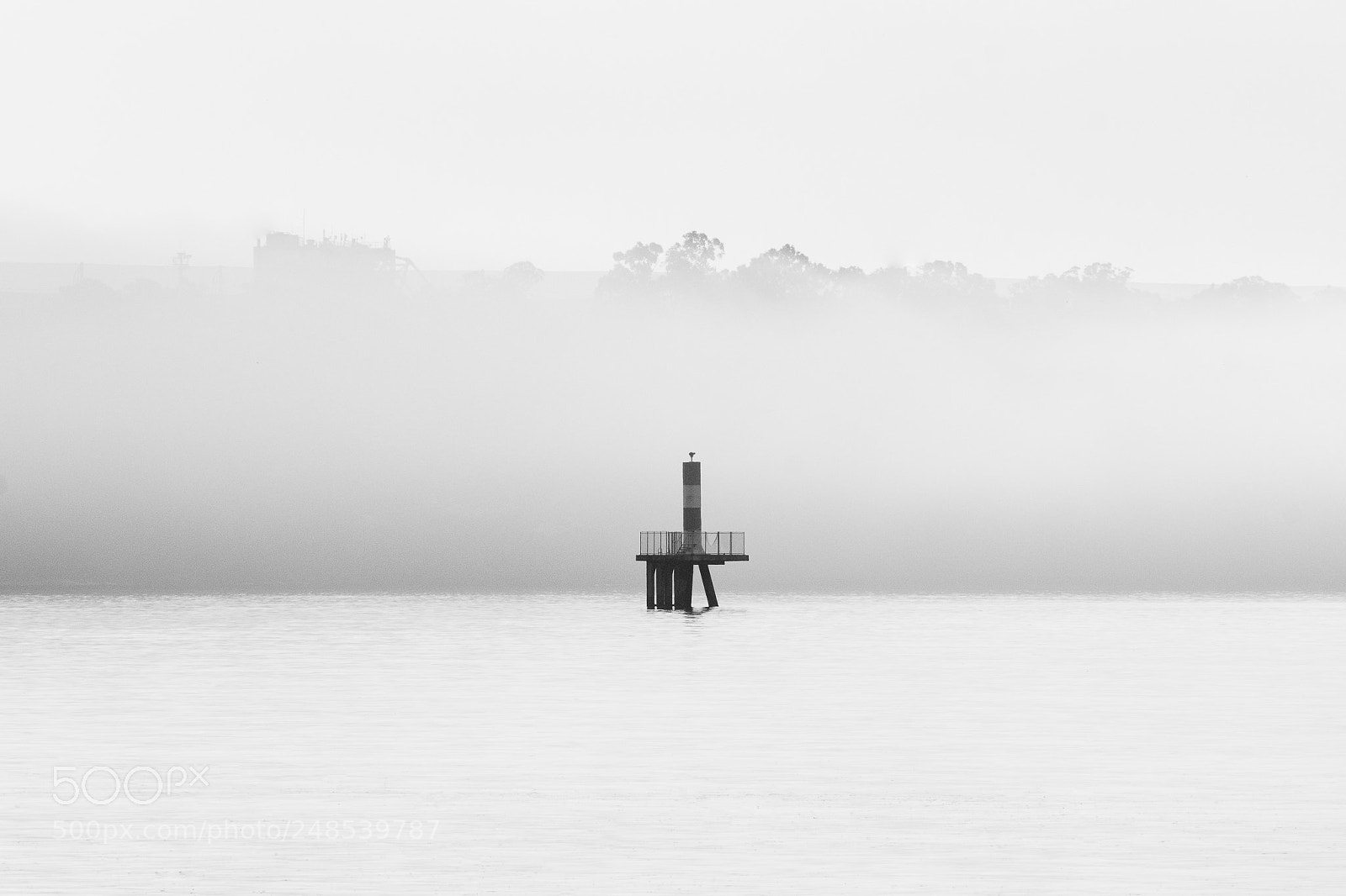 Nikon D5200 sample photo. The fog photography