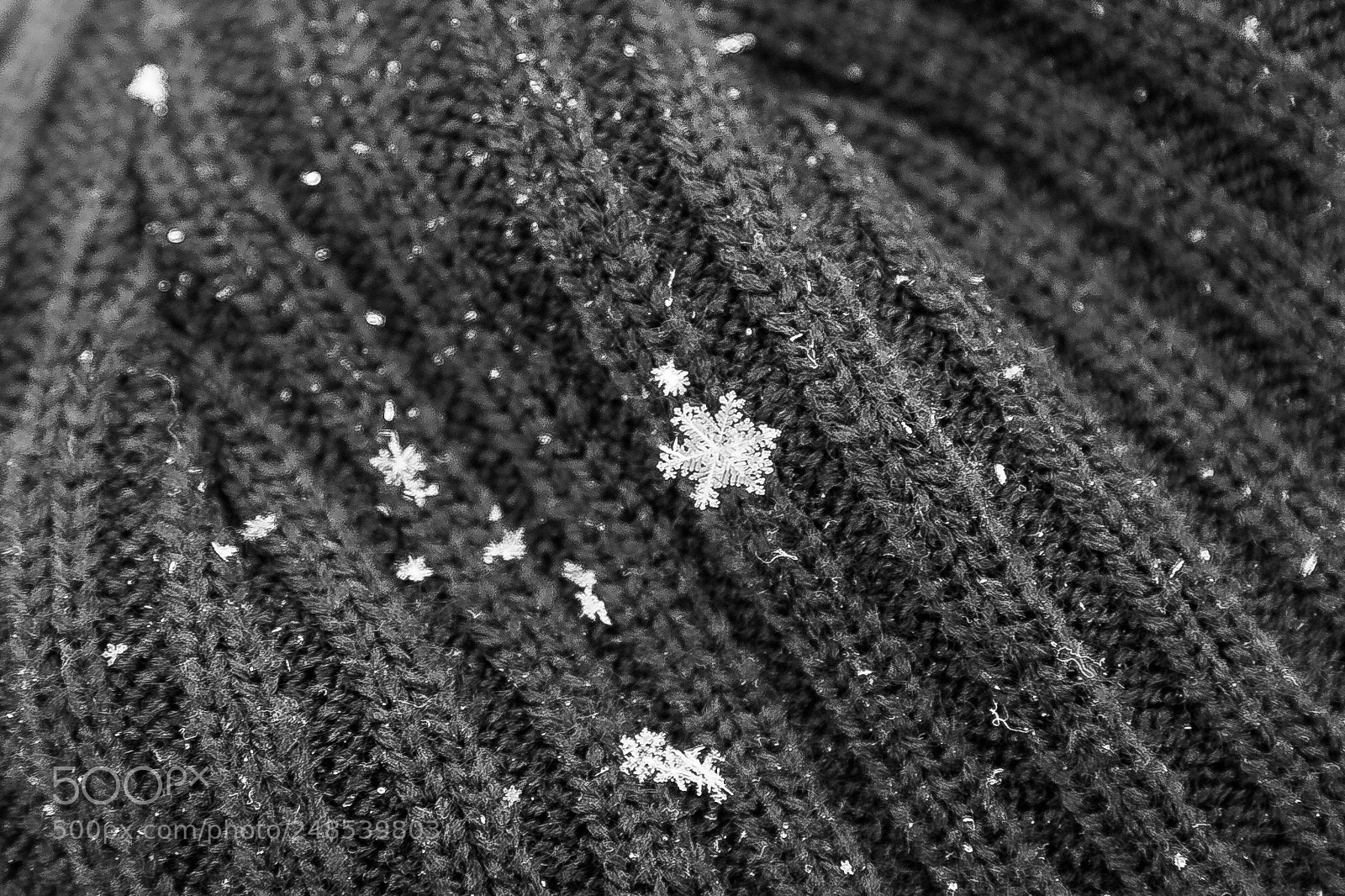 Canon EOS 5D sample photo. Snow flake photography