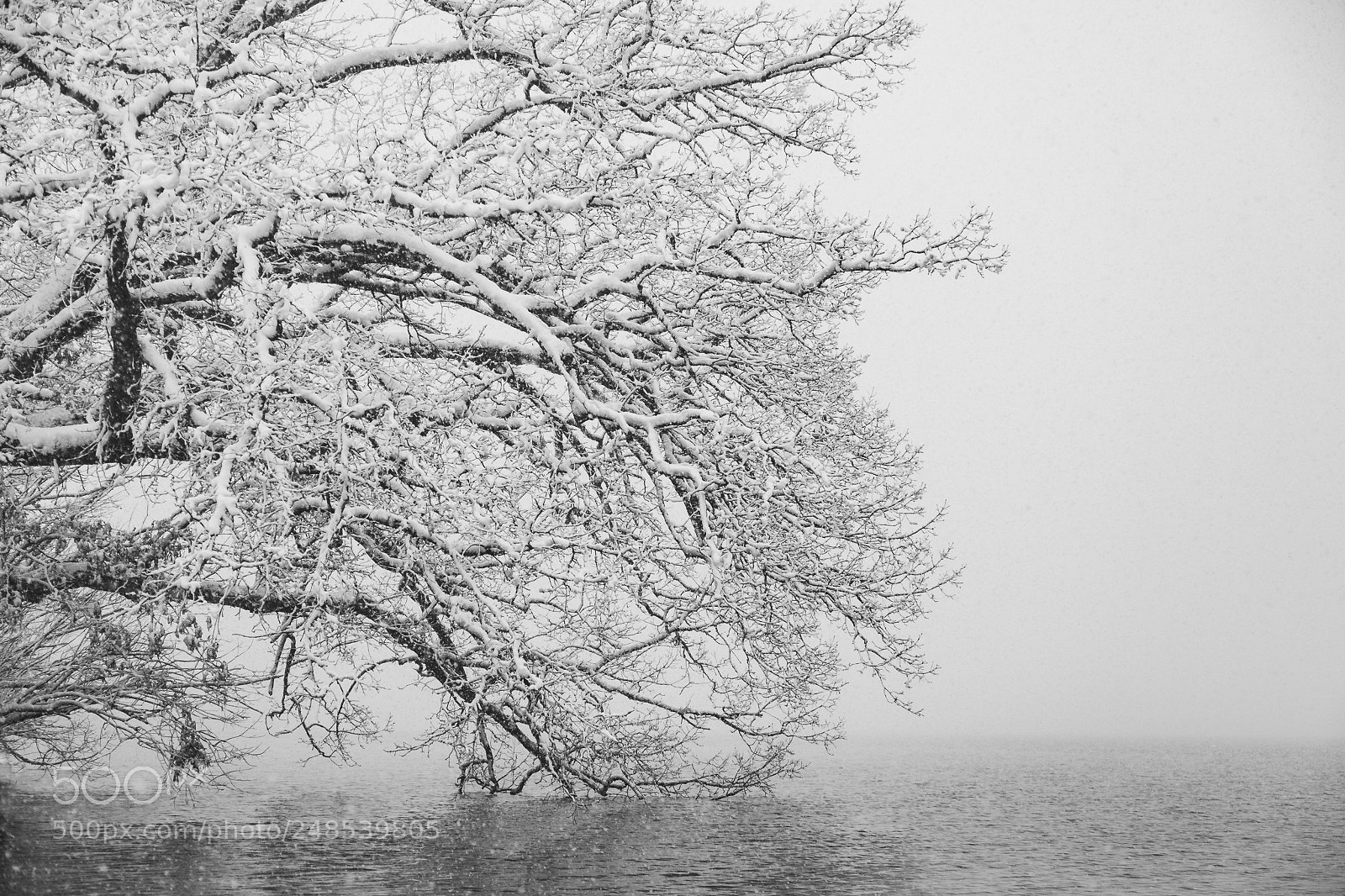 Canon EOS 5D sample photo. Winter storm photography